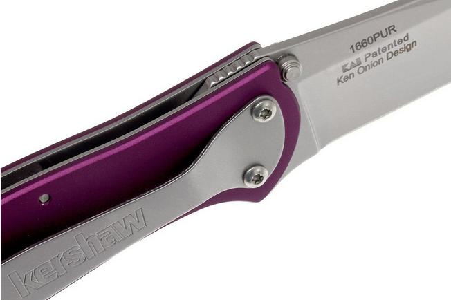 Kershaw Leek 1660PUR plain edge, purple  Advantageously shopping at