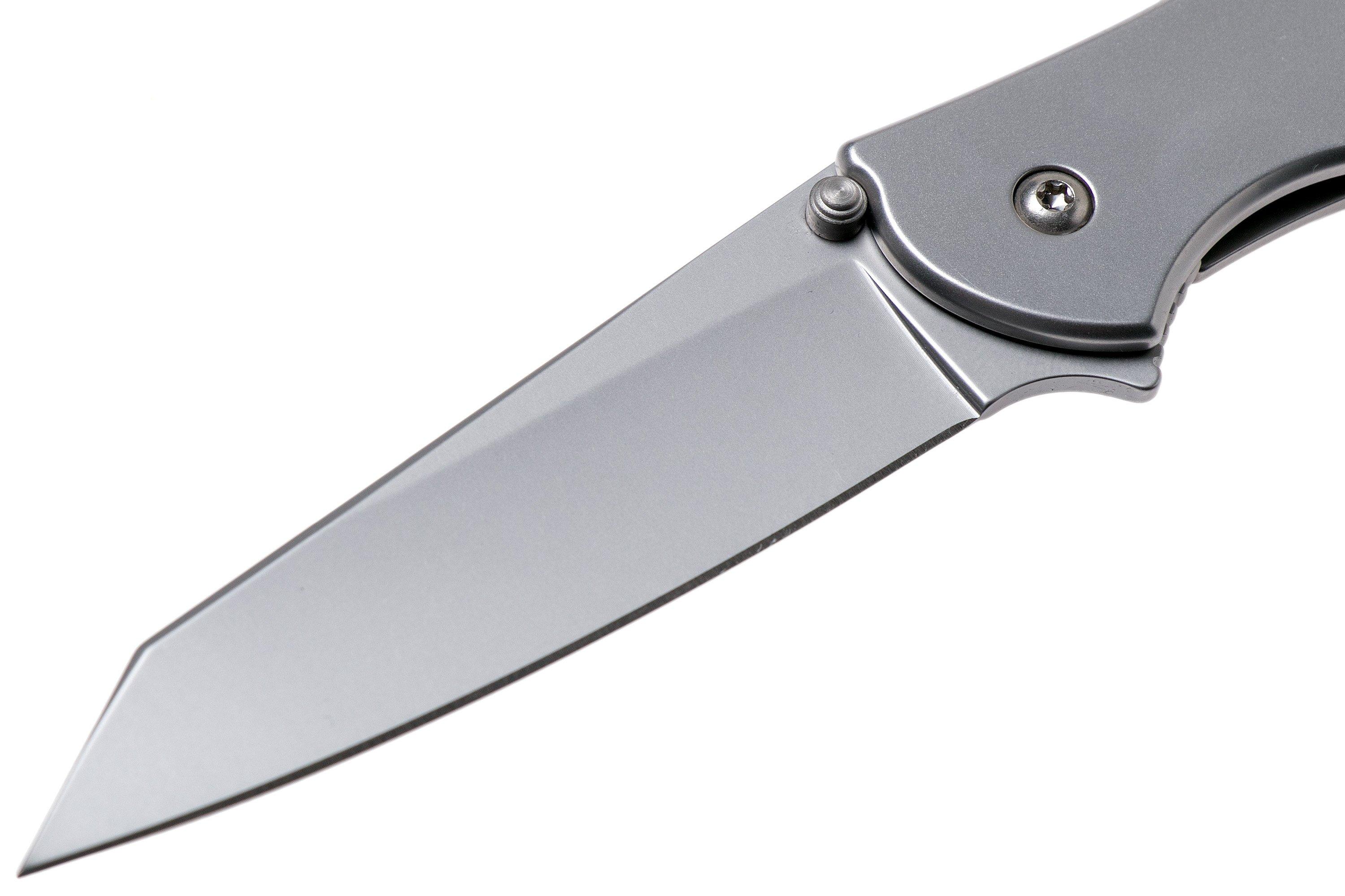Kershaw Leek Random 1660R navaja Compras con ventajas en