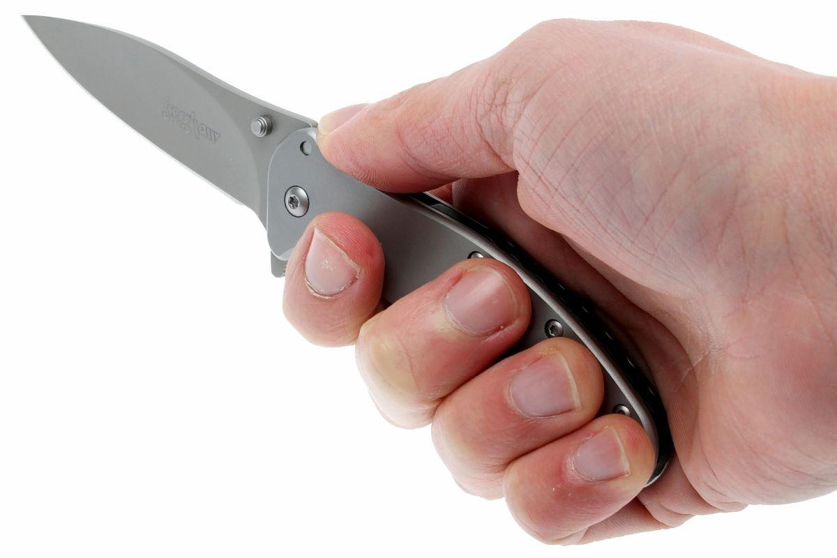 Kershaw Zing, 1730SS Achetez à prix avantageux chez knivesandtools.fr