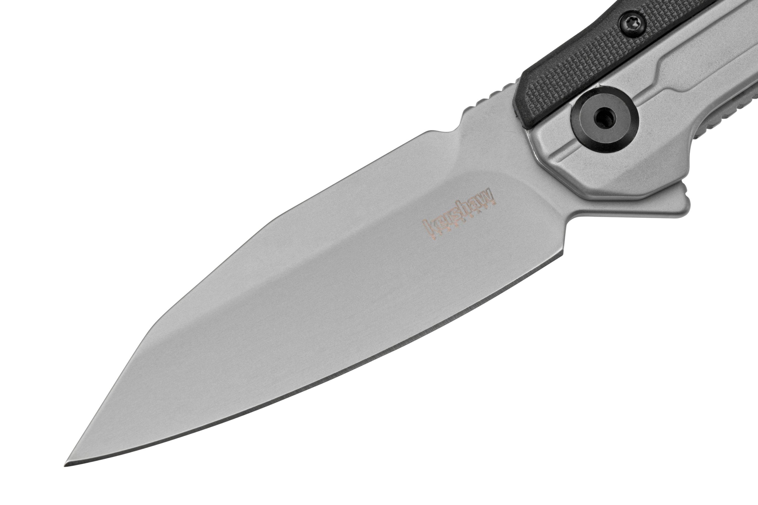 Kershaw Lithium 2049 pocket knife Advantageously shopping at