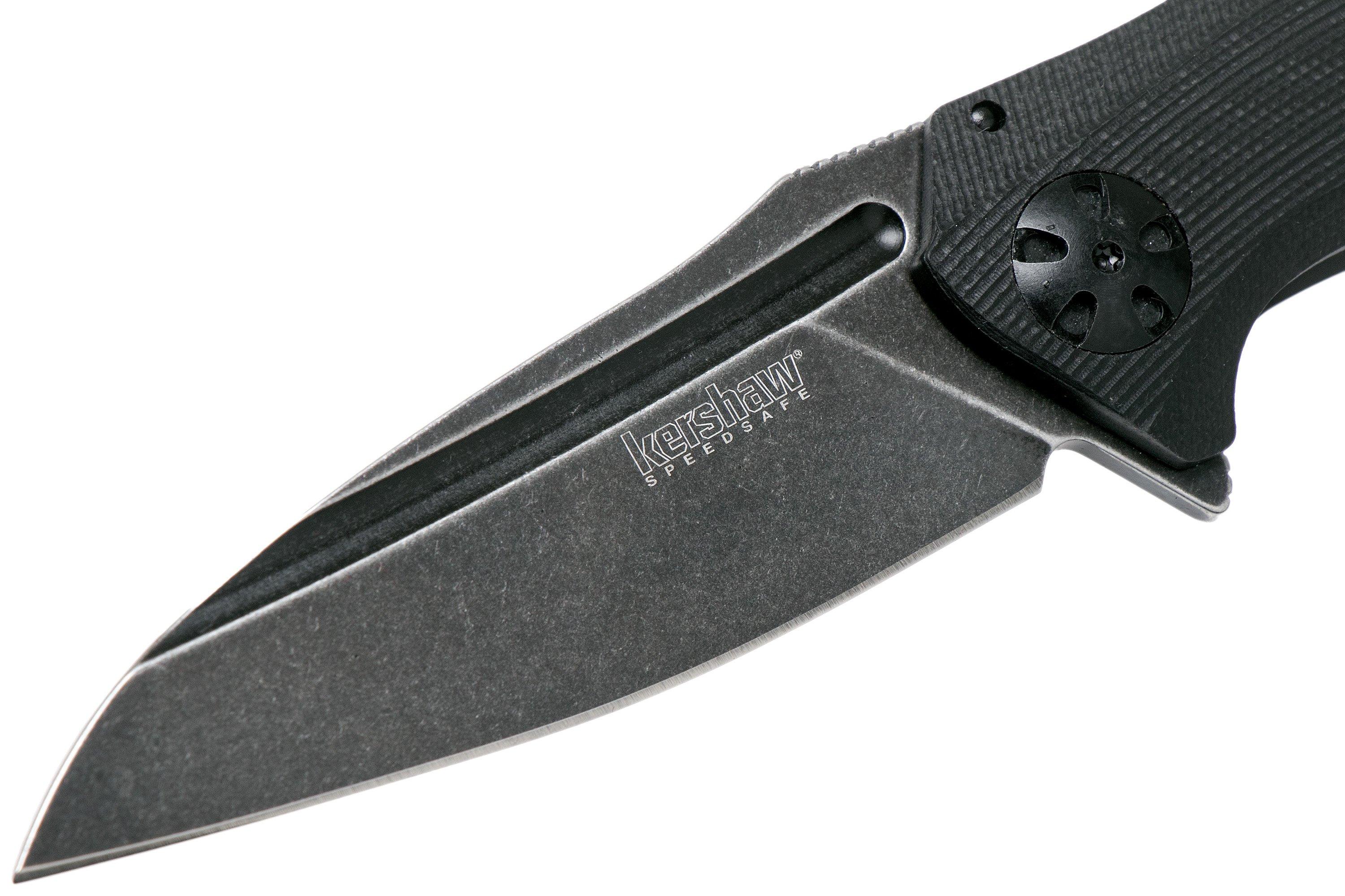 Kershaw Natrix 7007BLKBW pocket knife with assisted opening