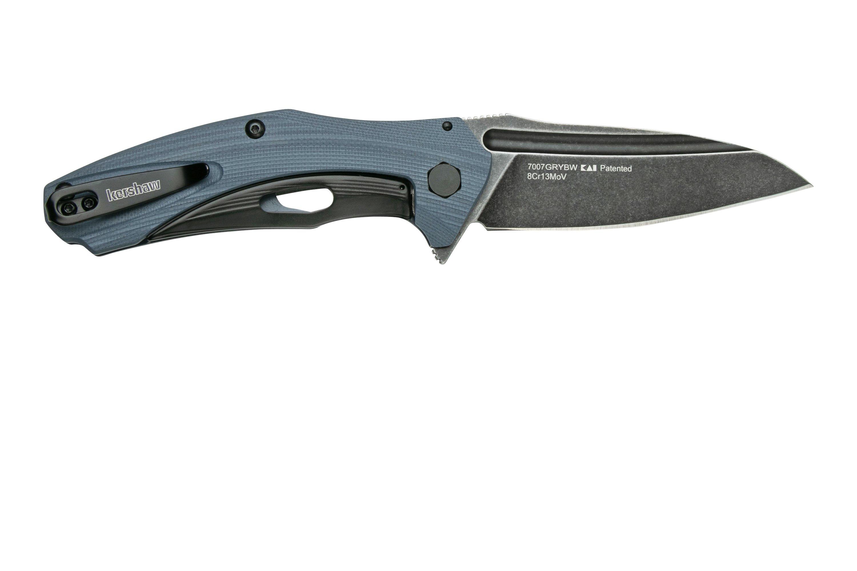 Kershaw Natrix 7007GRYBW pocket knife with assisted opening ...