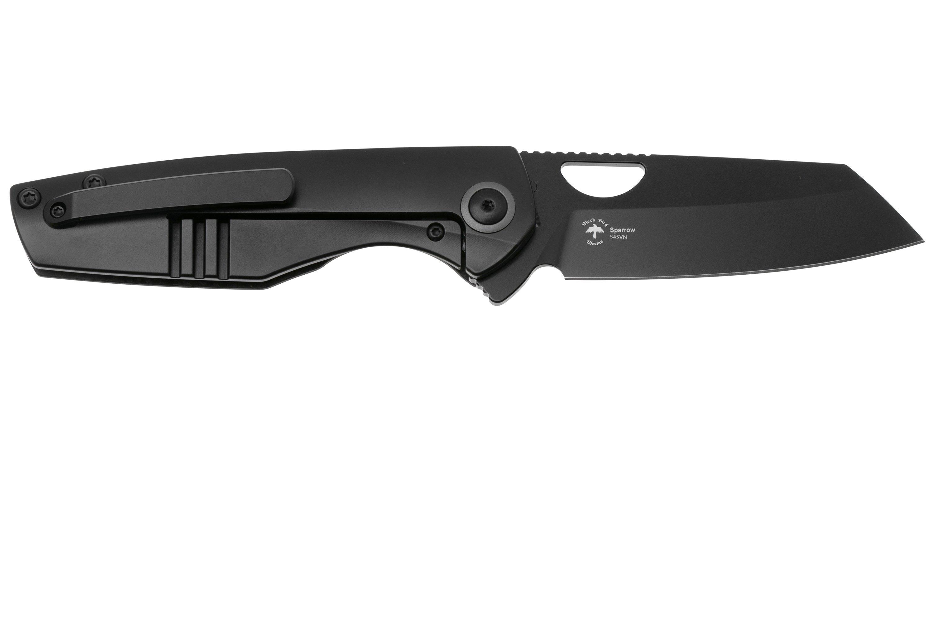 ビカクシダ Sparrow P.willinckii Sparrow X from @bikakuinu 成長はまだちょっと遅