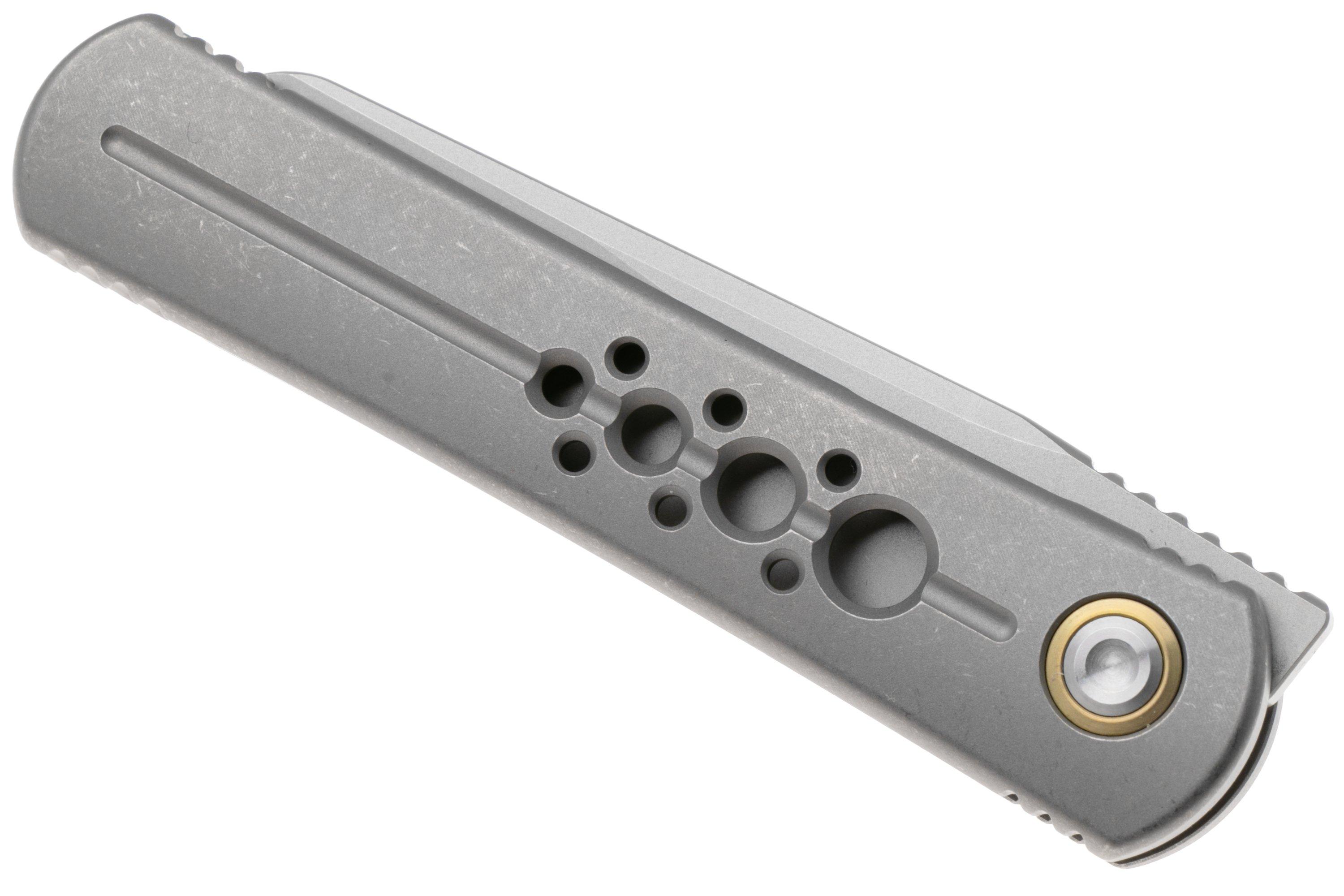 Kizer Feist 2 X Series ZX-3499-2A1 Stonewashed M390, Titanium