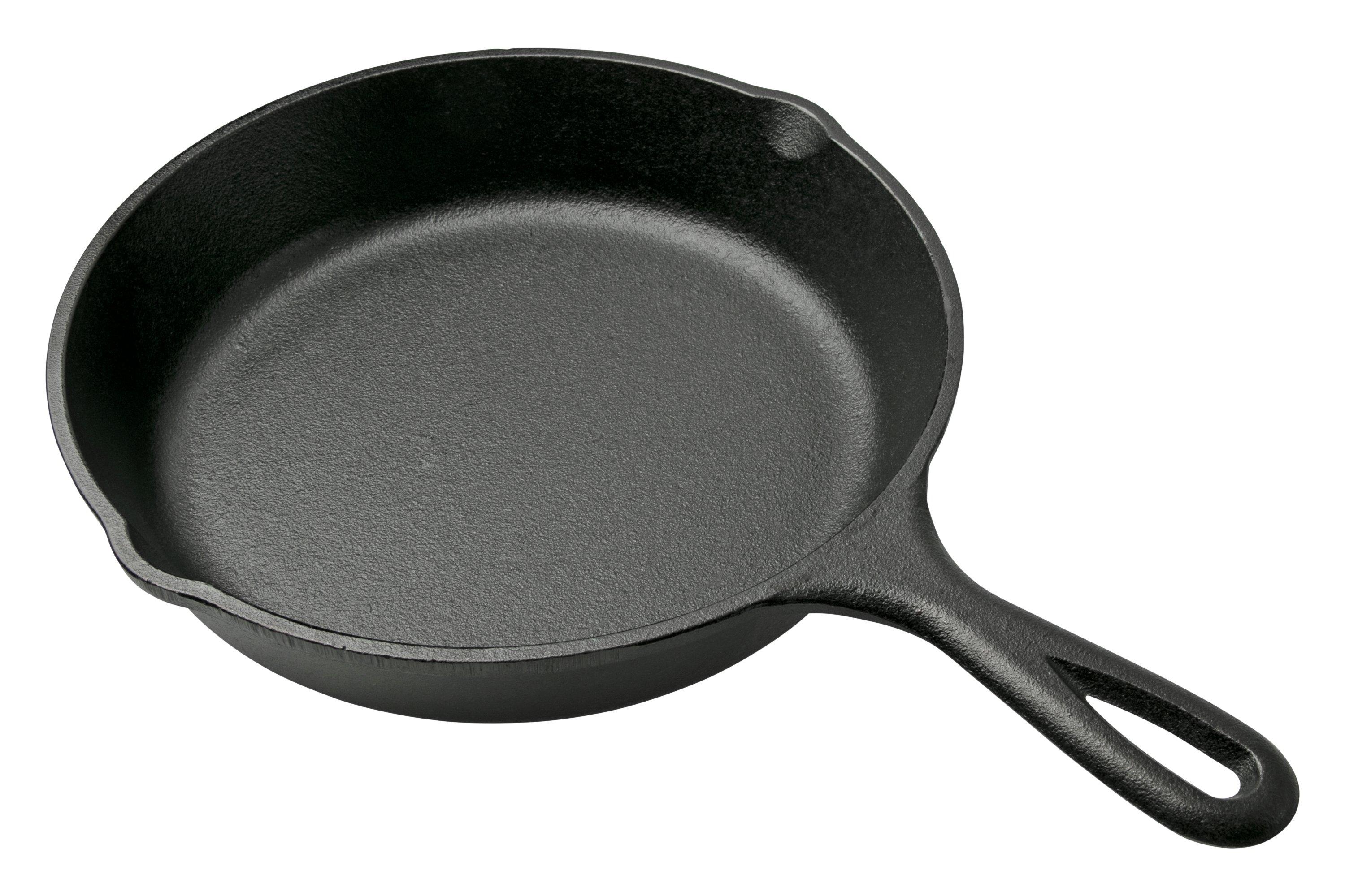 Lodge L8DSK3 10 1/4 Pre-Seasoned Cast Iron Deep Skillet