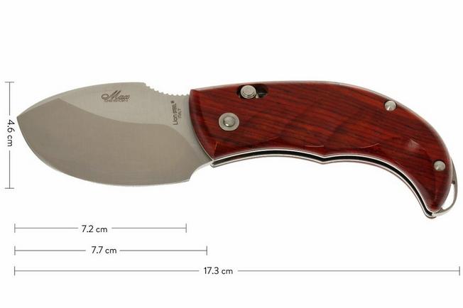 Image for LionSteel Skinner 8901 CB