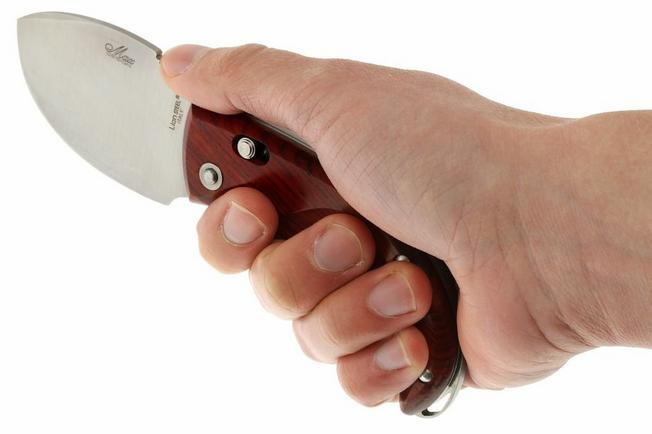 Image for LionSteel Skinner 8901 CB