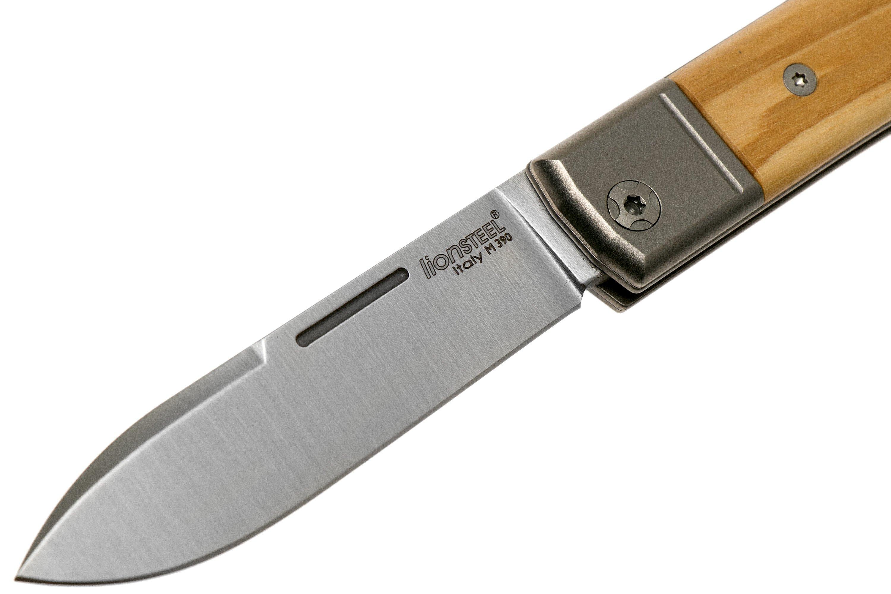 LionSteel BestMAN Taschenmesser BM2 EB - Ebenholz-Griffe, Faltbar, Robustes Alltagswerkzeug