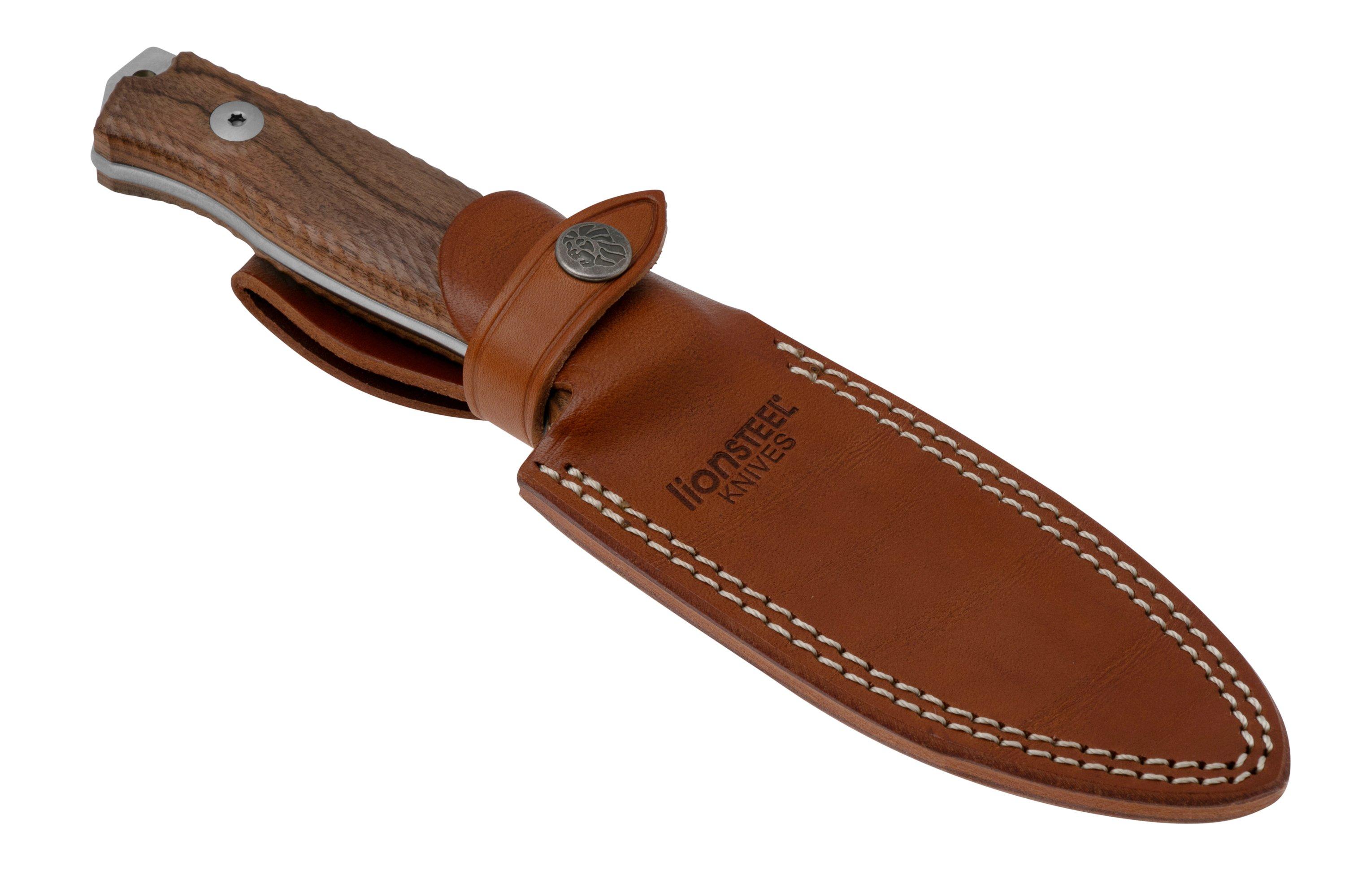 LI-M5-ST_07_lionsteel