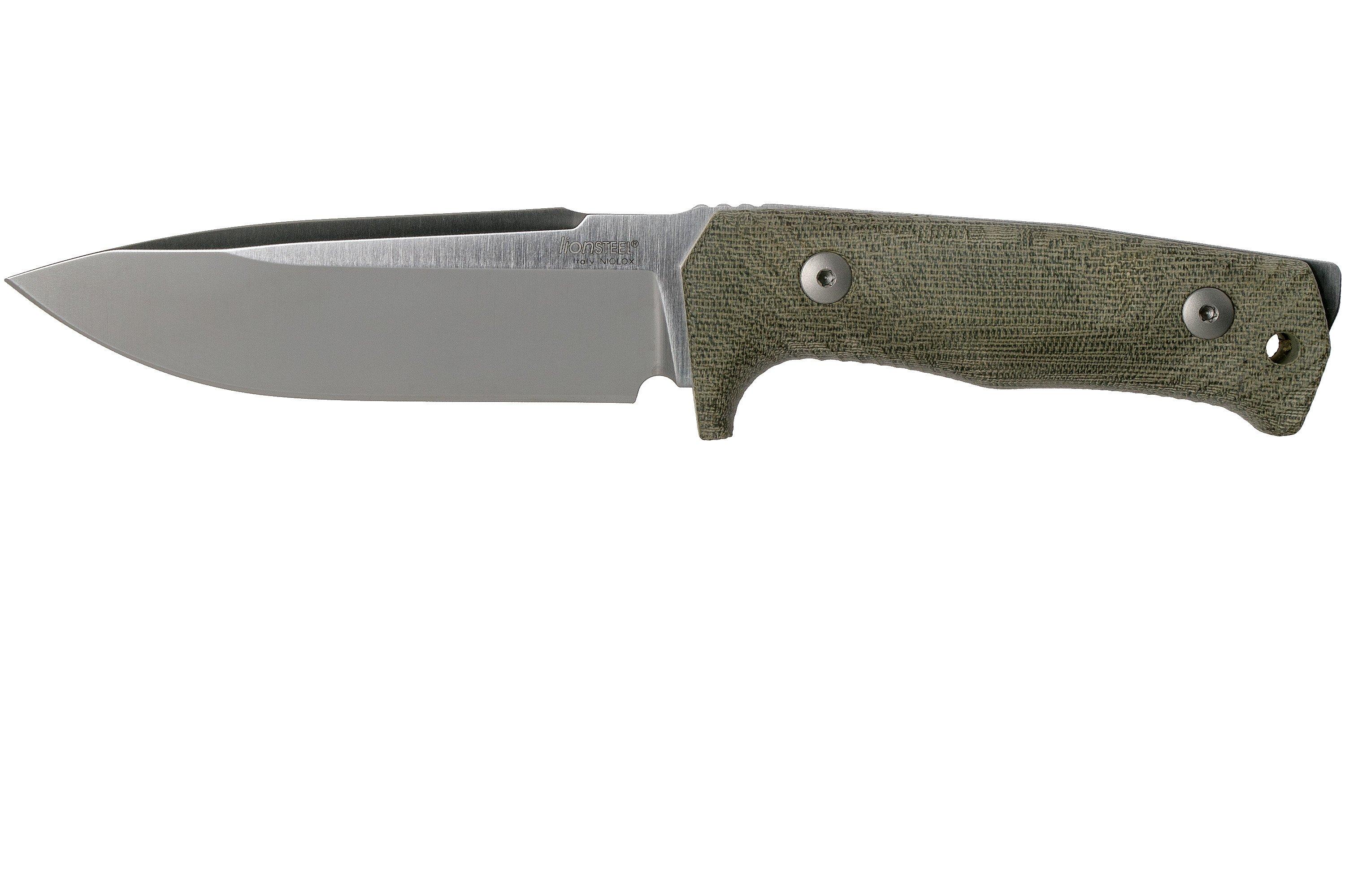 LI-T5-CVG_01_lionsteel