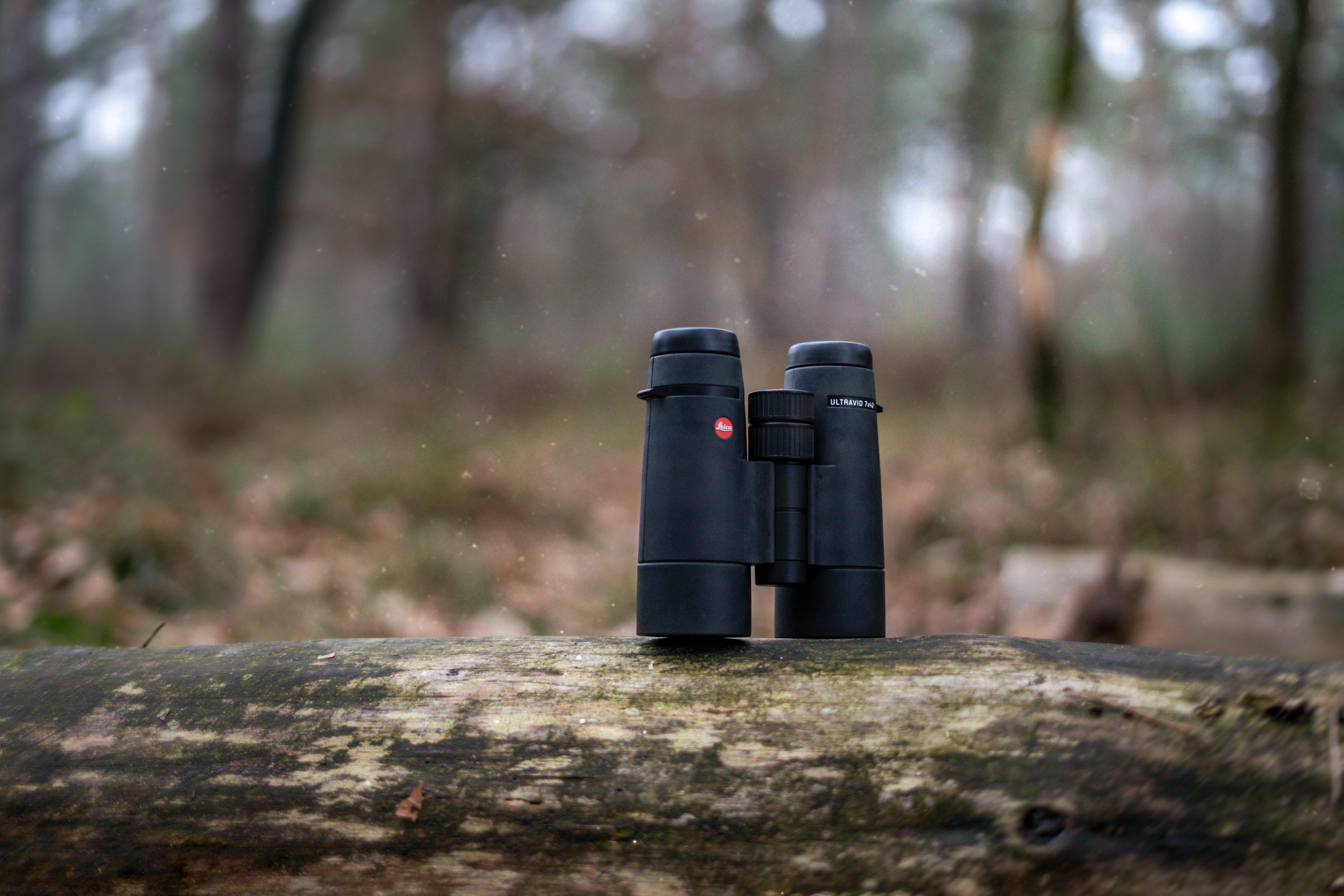 Lornetka Leica na pniu drzewa w lesie