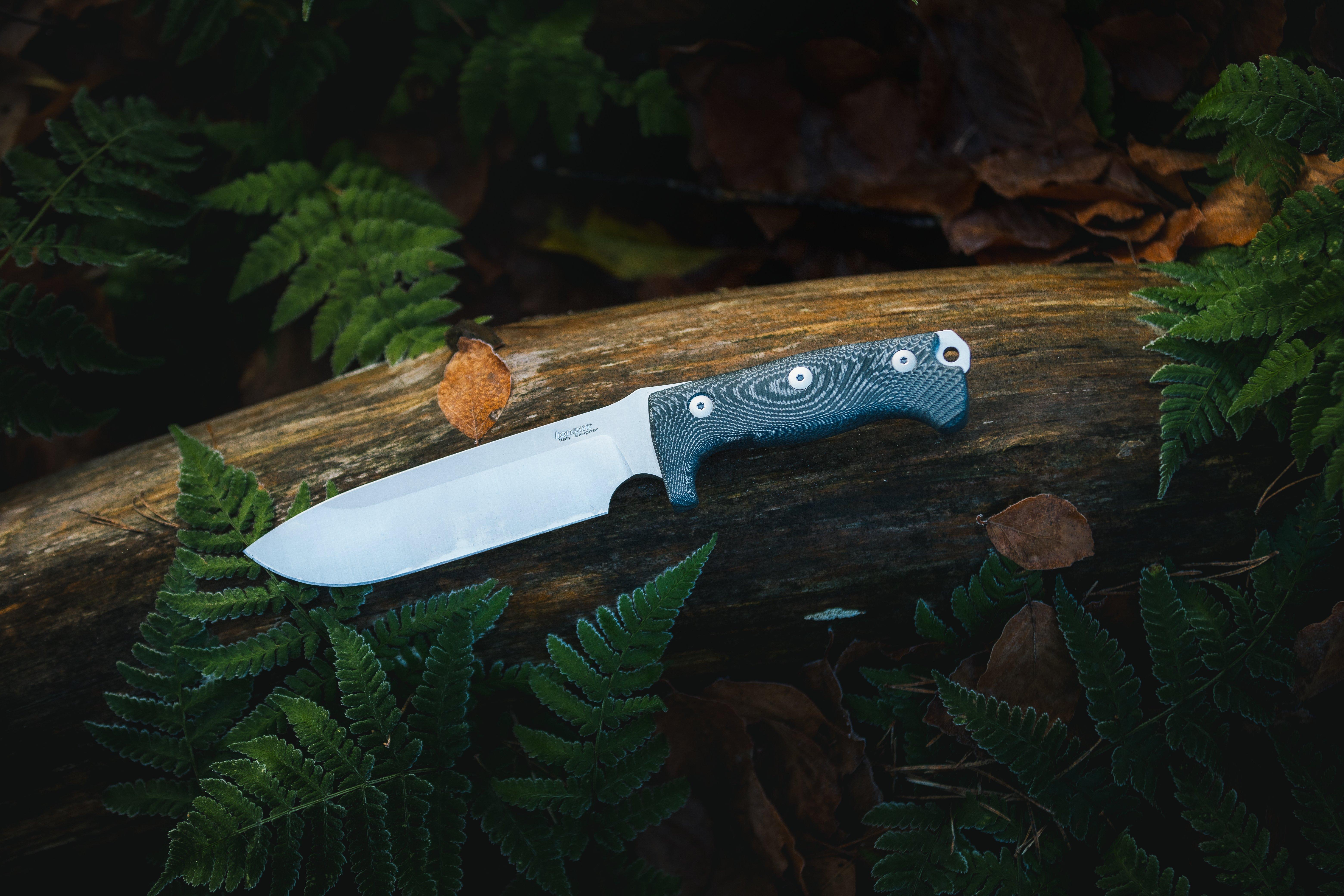 LionSteel M7