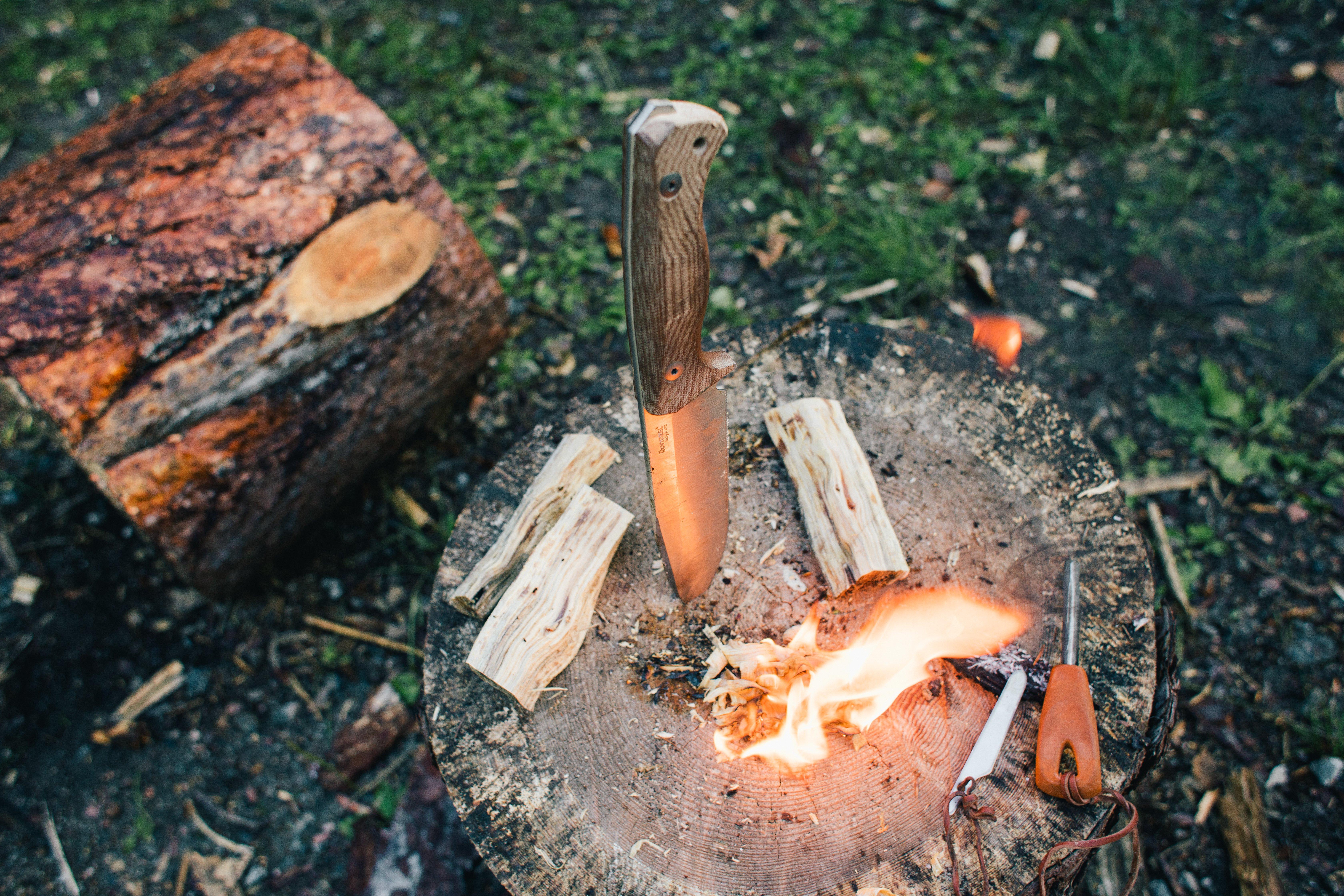 Lionsteel T6 | Review door Padraig Croke