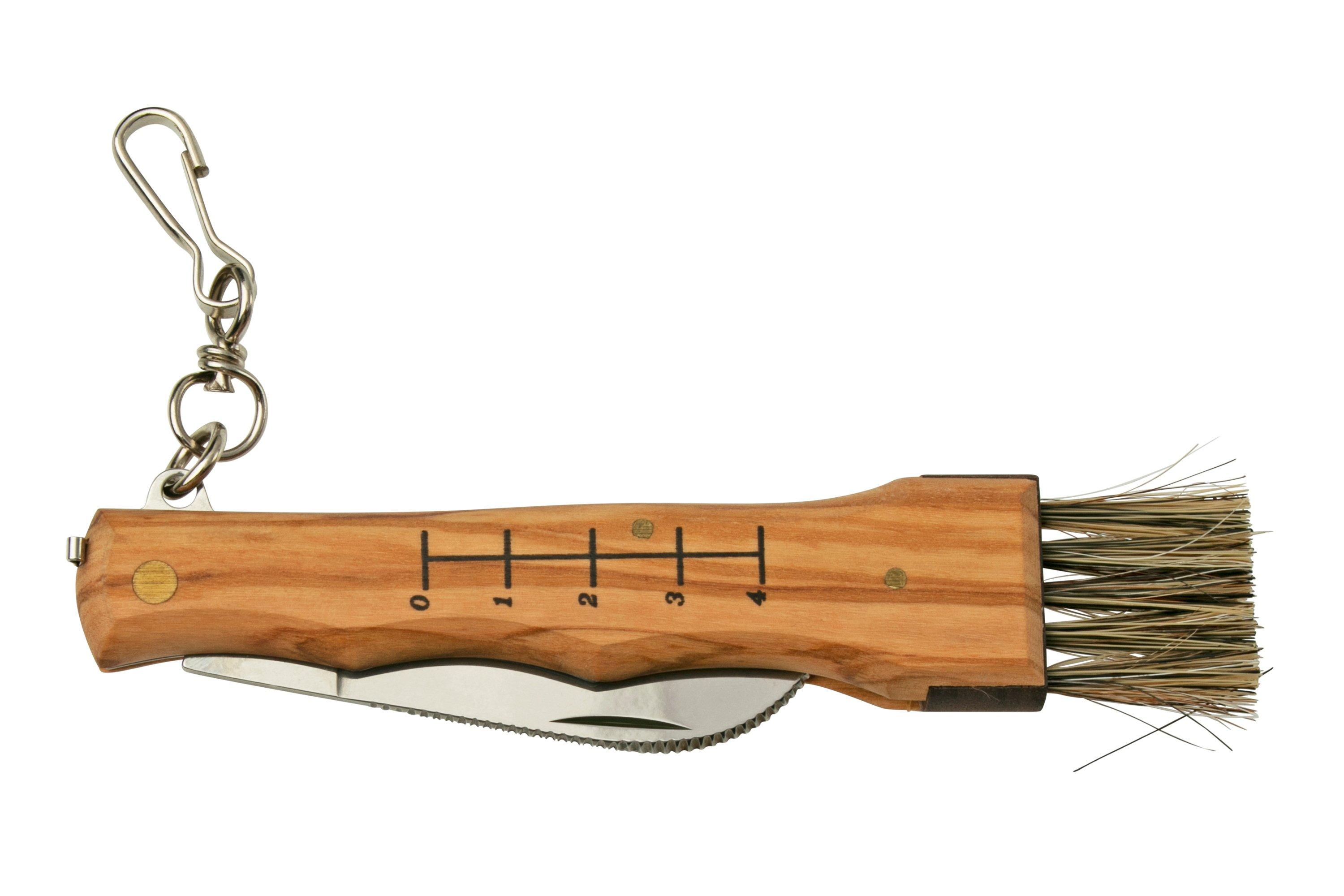 Coltello dritto per funghi con manico in legno naturale (senza fodero) - Shop