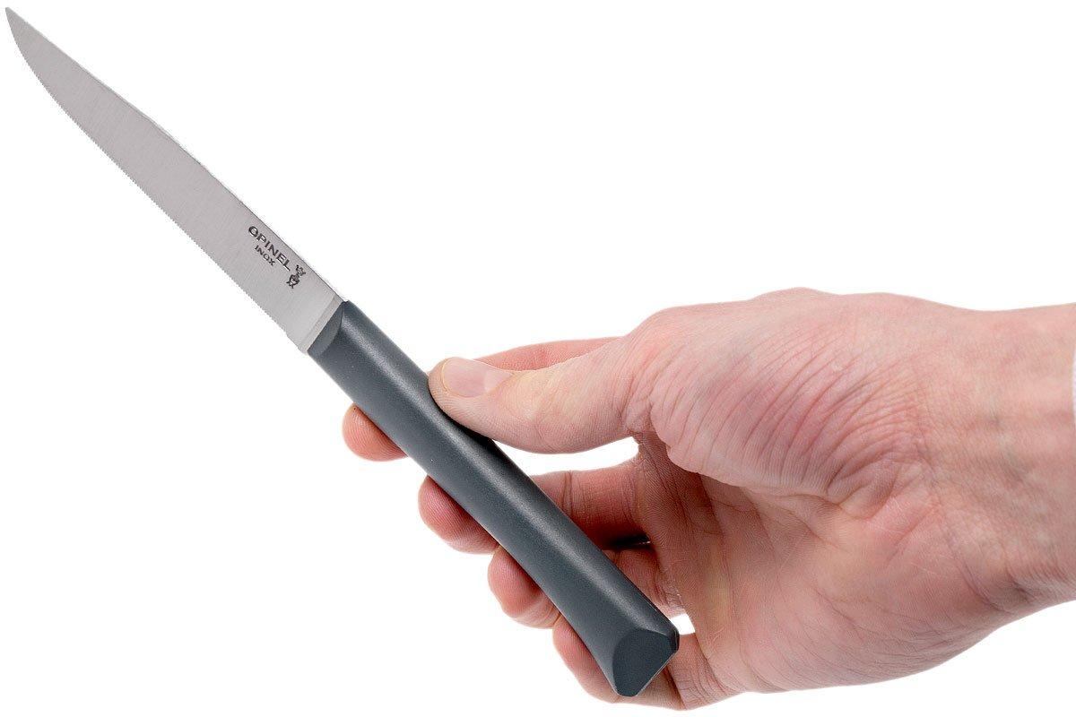 Opinel Bon Appétit+ table knife N°125, anthracite, microserrated blade