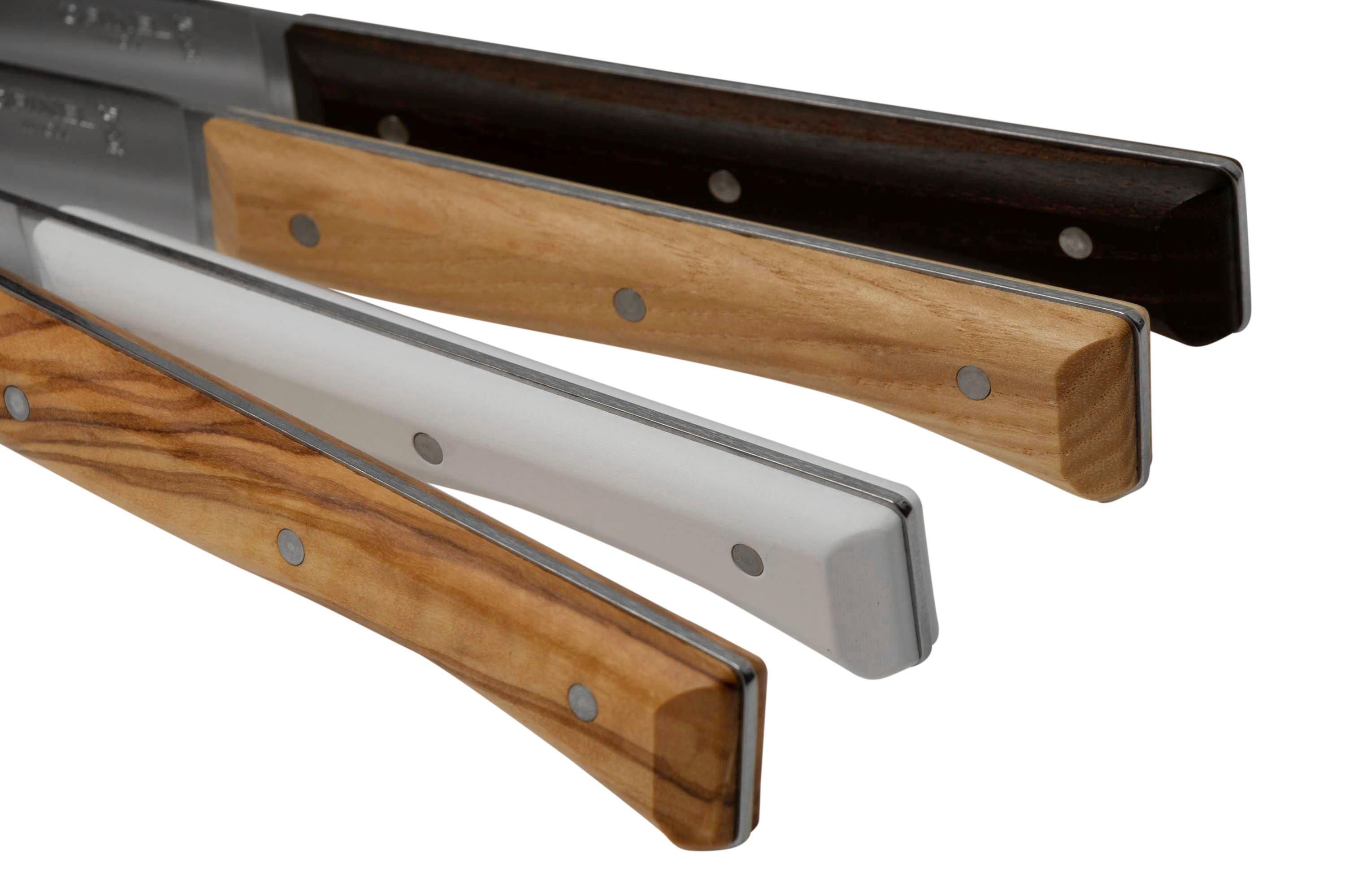 Opinel Facette Mix, set de 4 couteaux de table  Achetez à prix avantageux  chez knivesandtools.be