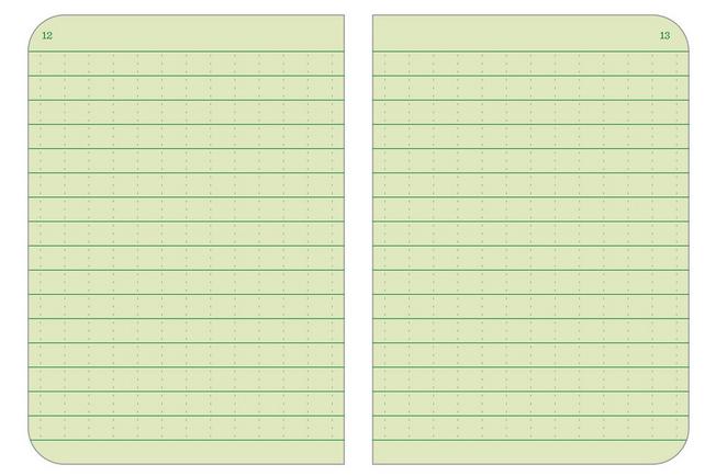 Afbeelding voor Rite in the Rain Stapled Notebooks 971FX-M, 3 1/4" x 4 5/8", Green, set van 3 notitieboekjes