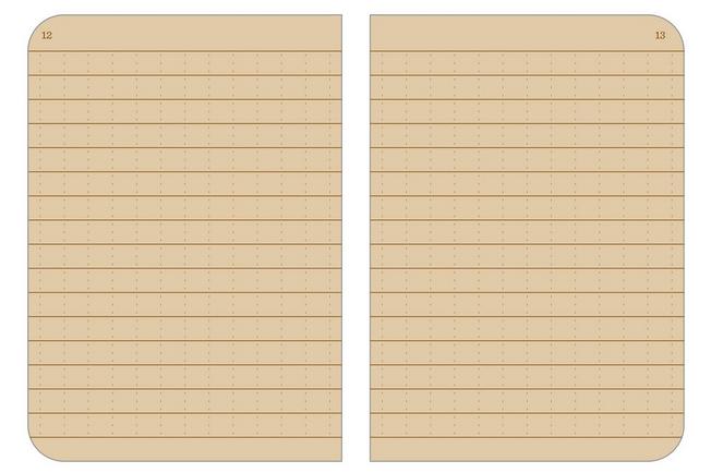 Afbeelding voor Rite in the Rain Stapled Notebooks 971TFX-M, 3 1/4" x 4 5/8", Tan, set van 3 notitieboekjes