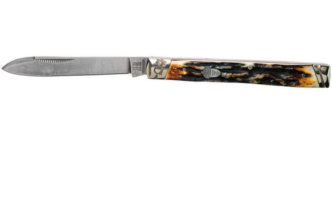 Rough Ryder Doctors Knife Cinnamon Stag RR2158 Damascus slipjoint pocket  knife