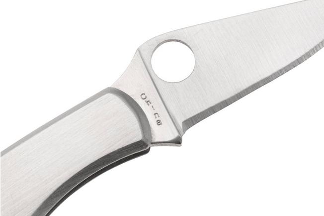 Immagine per Spyderco Bug C133P coltello portachiavi