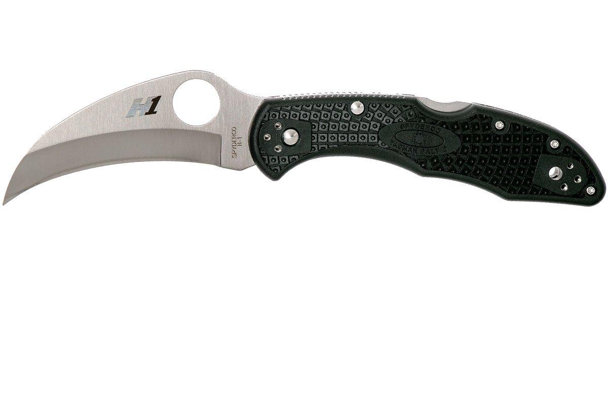 Spyderco Tasman Salt 2 C106PBK2 Plain Edge pocket knife, black ...