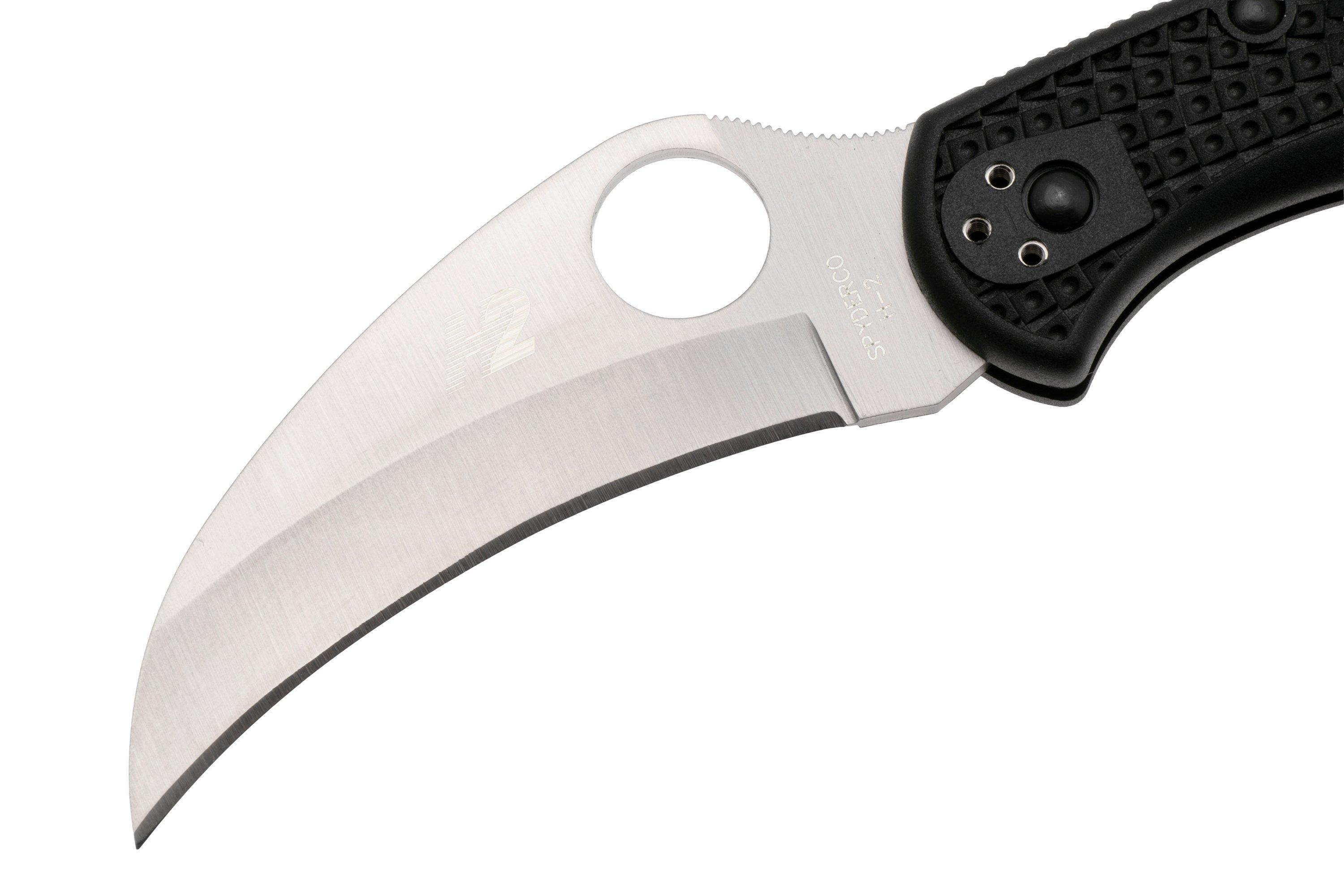 Spyderco Tasman Salt 2 C106PBK2 Plain Edge pocket knife, black ...