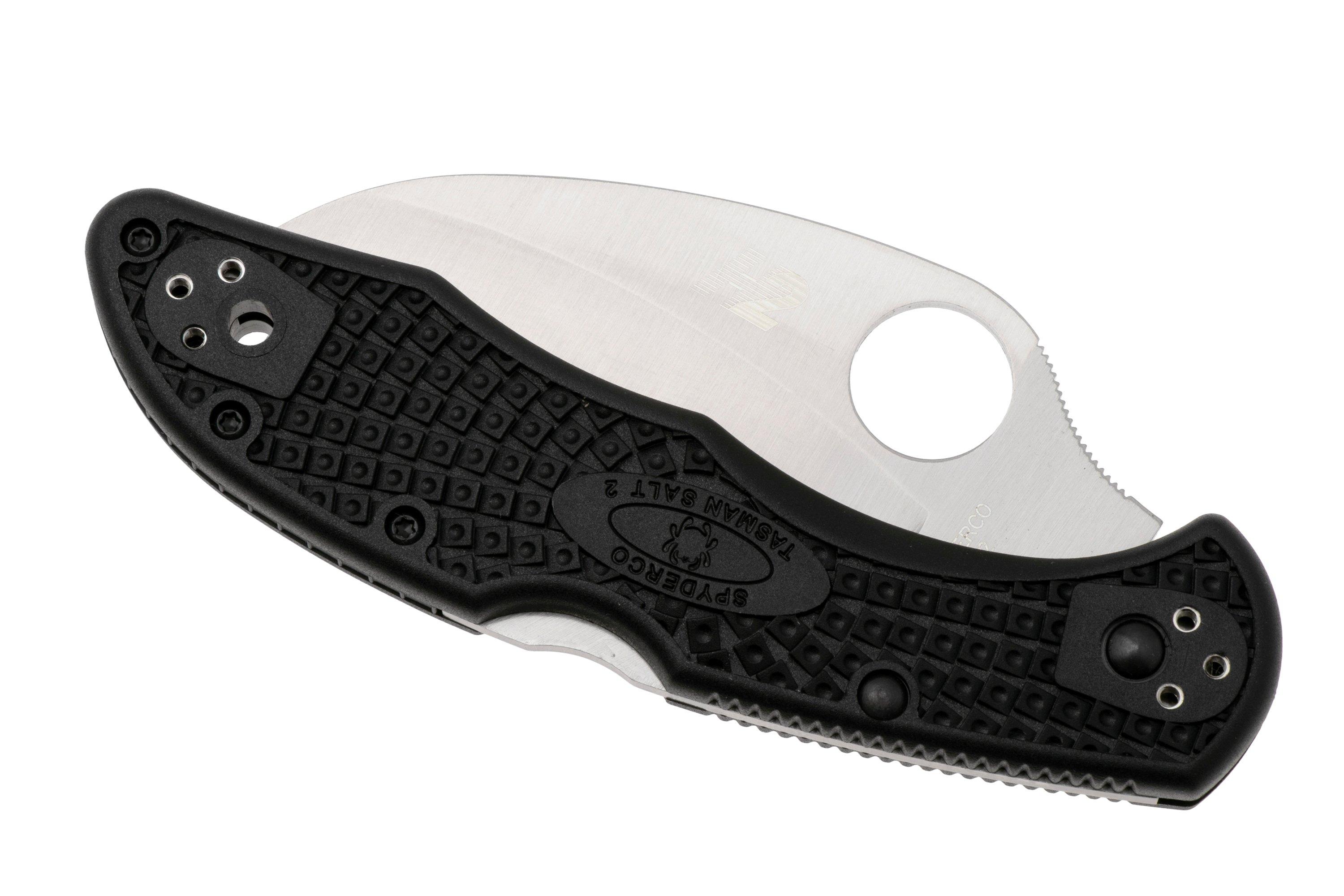 Spyderco Tasman Salt 2 C106PBK2 Plain Edge pocket knife, black ...