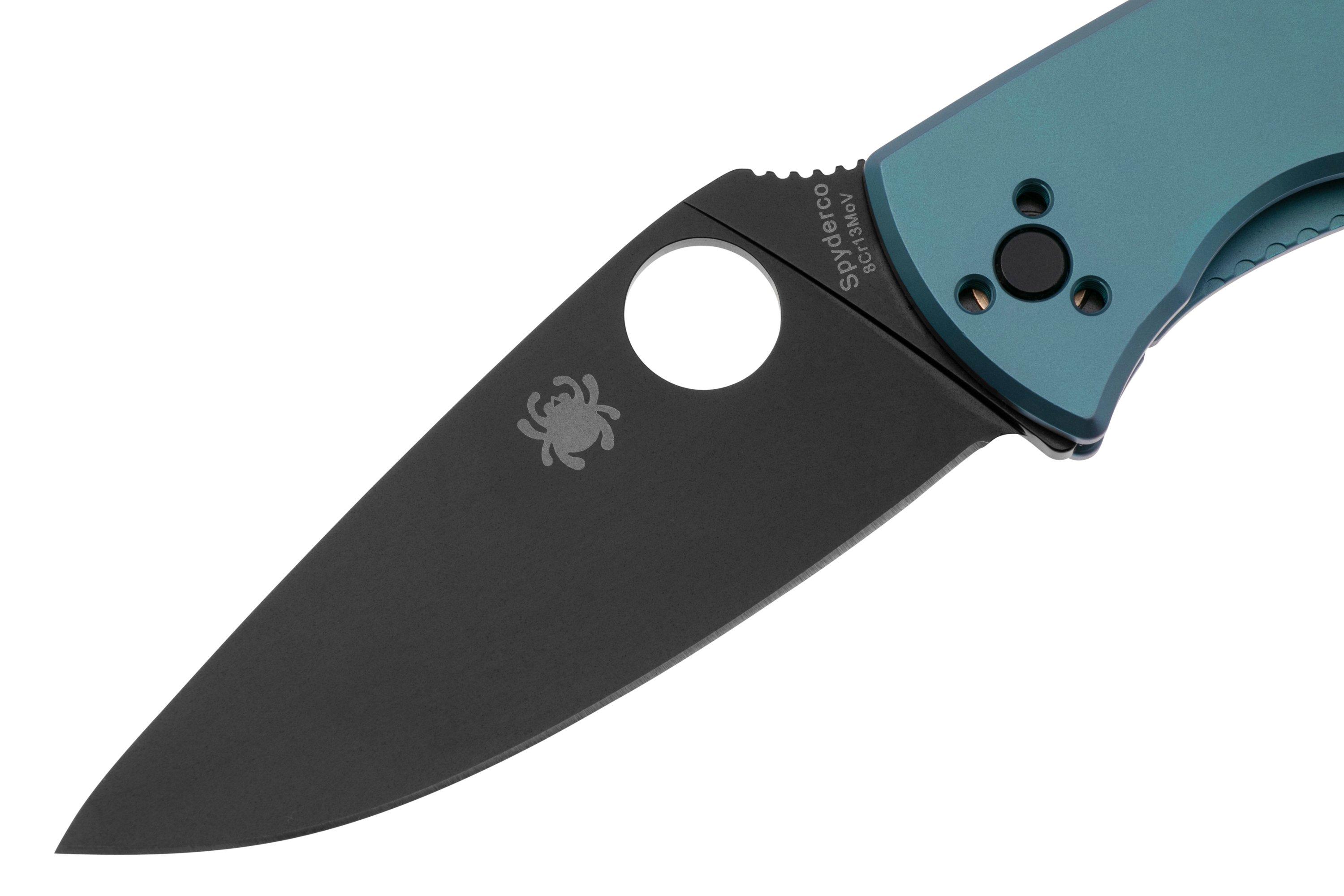 Spyderco Tenacious Black C122TIBLBKP Blue Titanium zakmes | Voordelig ...