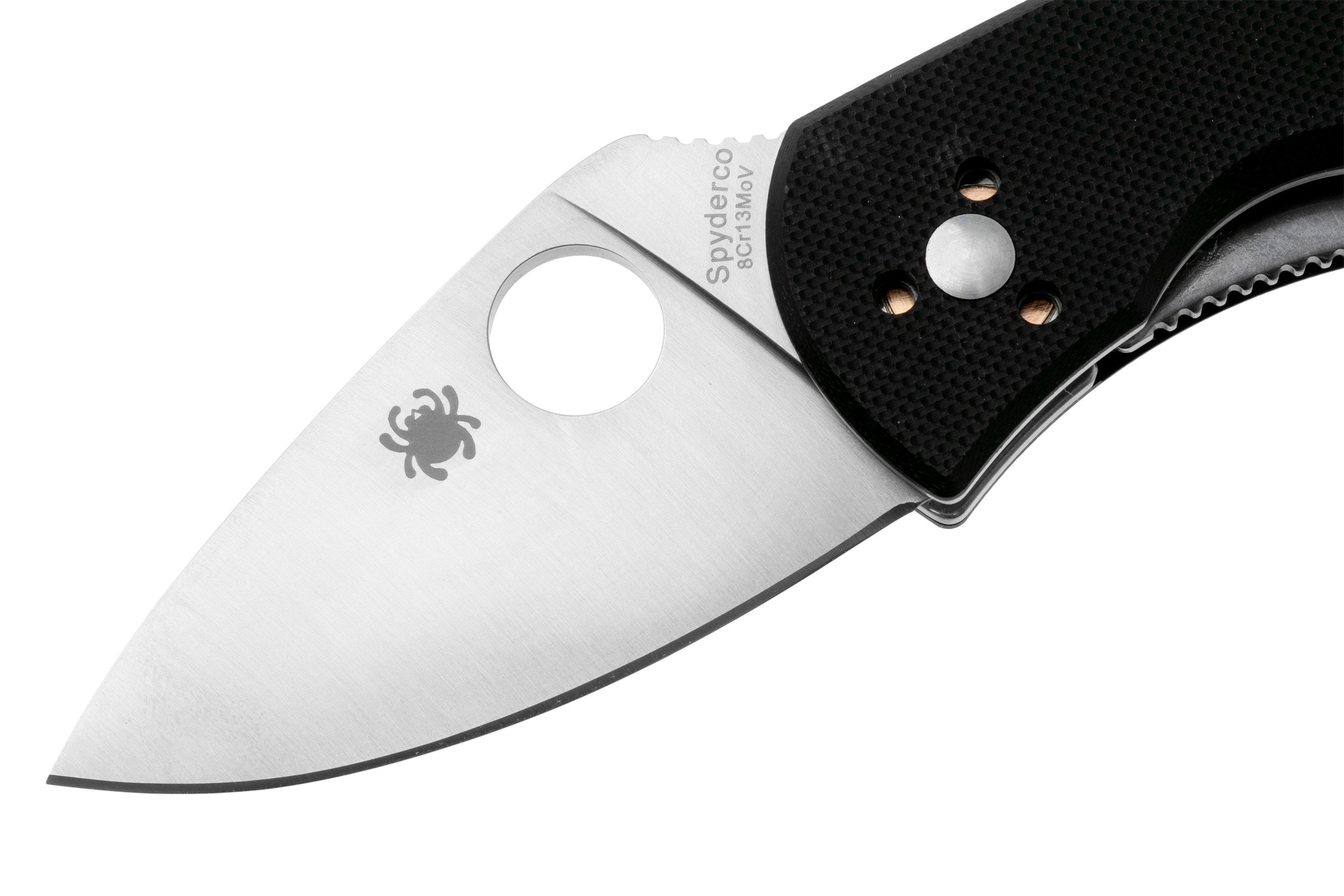 Spyderco Ambitious C148GP zakmes | Voordelig kopen bij