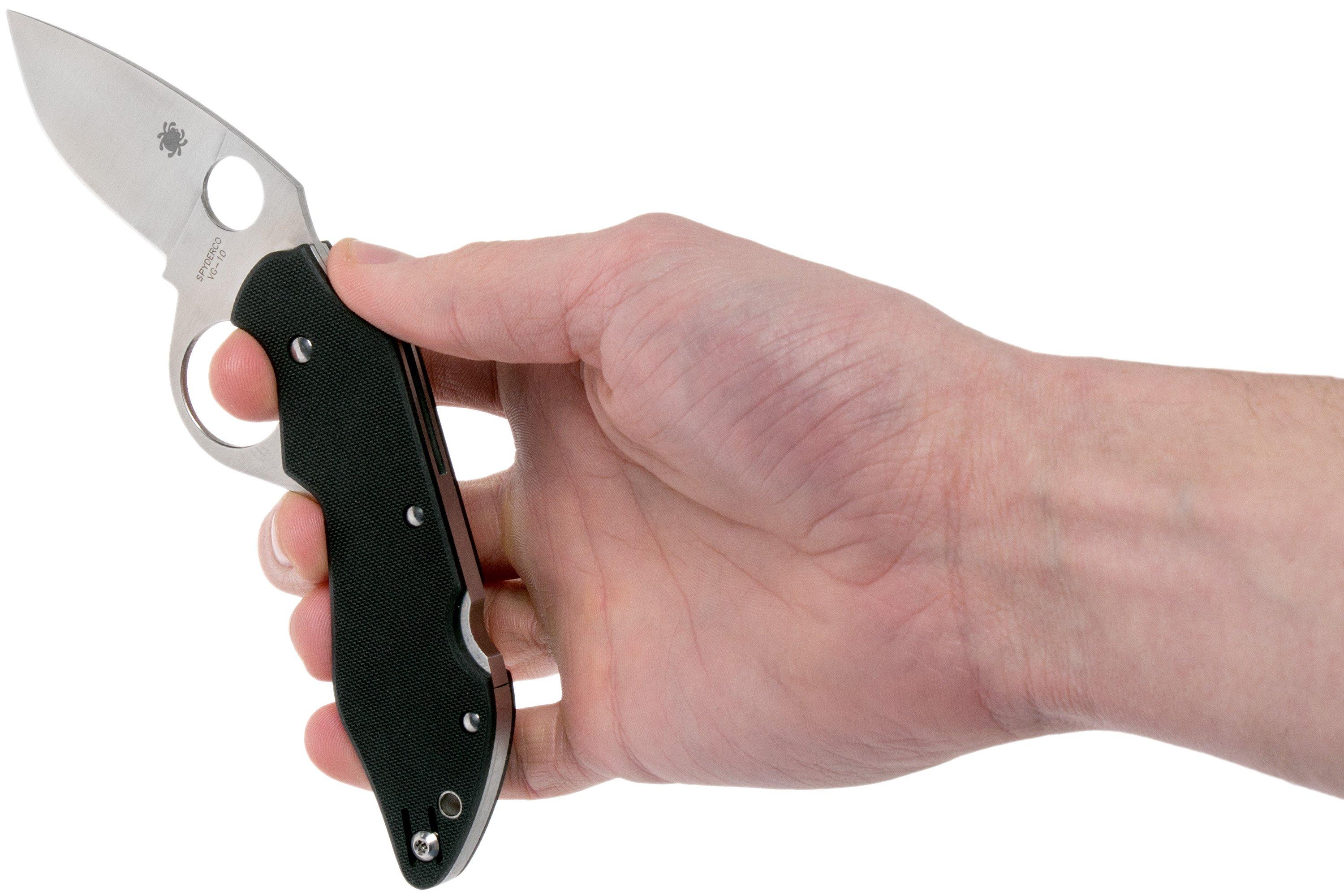 Spyderco Introvert C206GP pocket knife | Advantageously shopping at  Knivesandtools.com