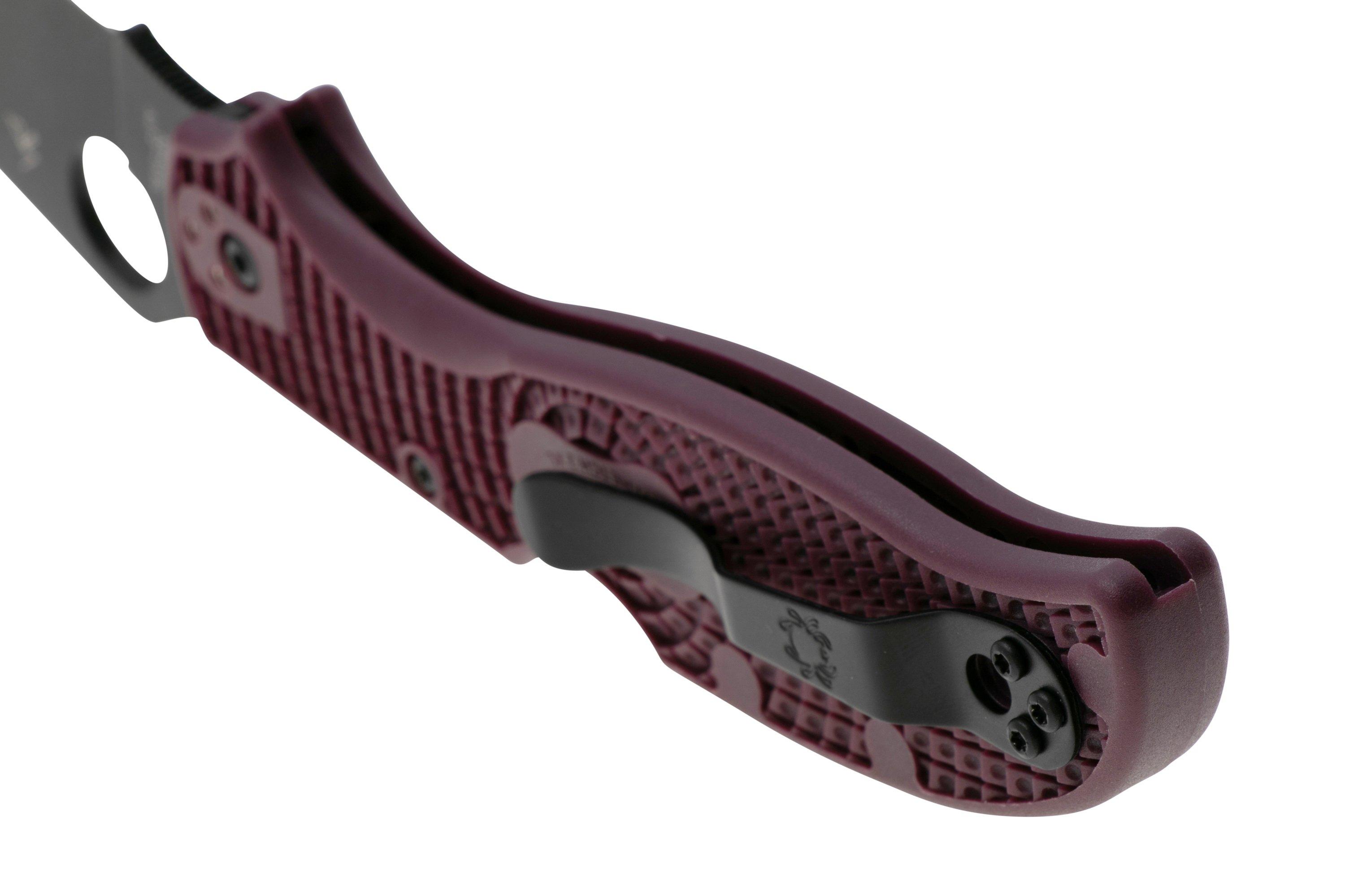 SPC258BGBKP_04_spyderco