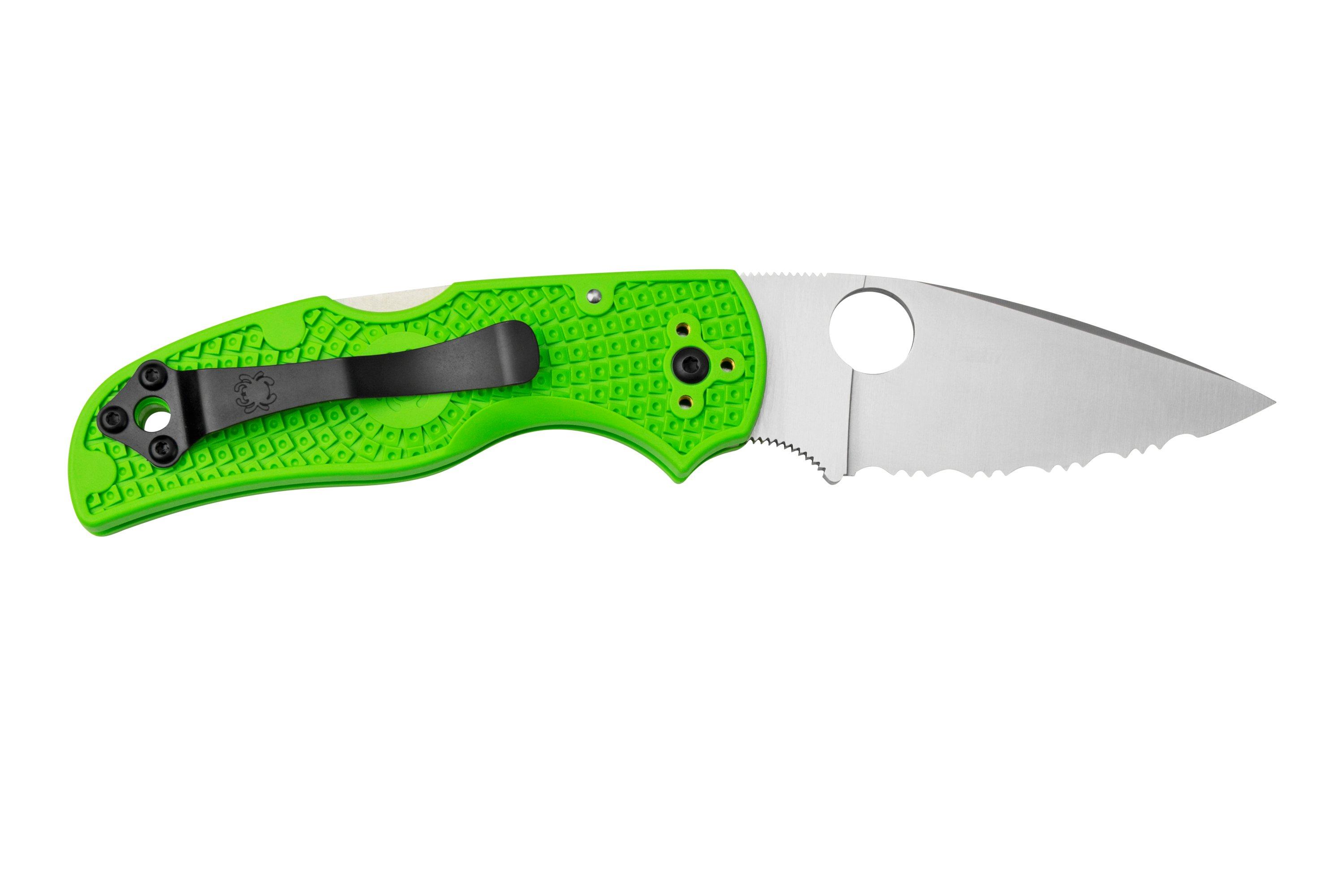 Spyderco Native 5 Salt, Green FRN, LC200N, C41SGR5 pocket knife