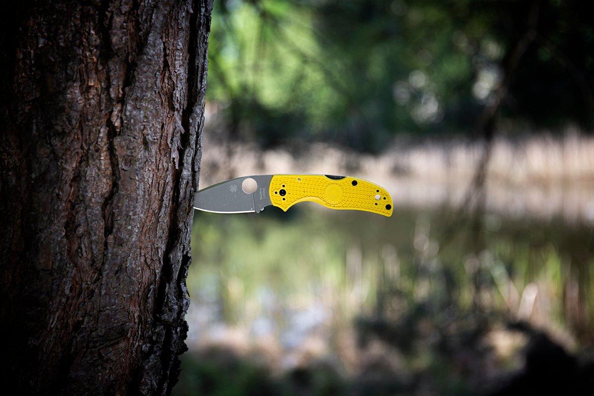 Spyderco Salt pocket knife with yellow handle, stuck into the bark of a tree