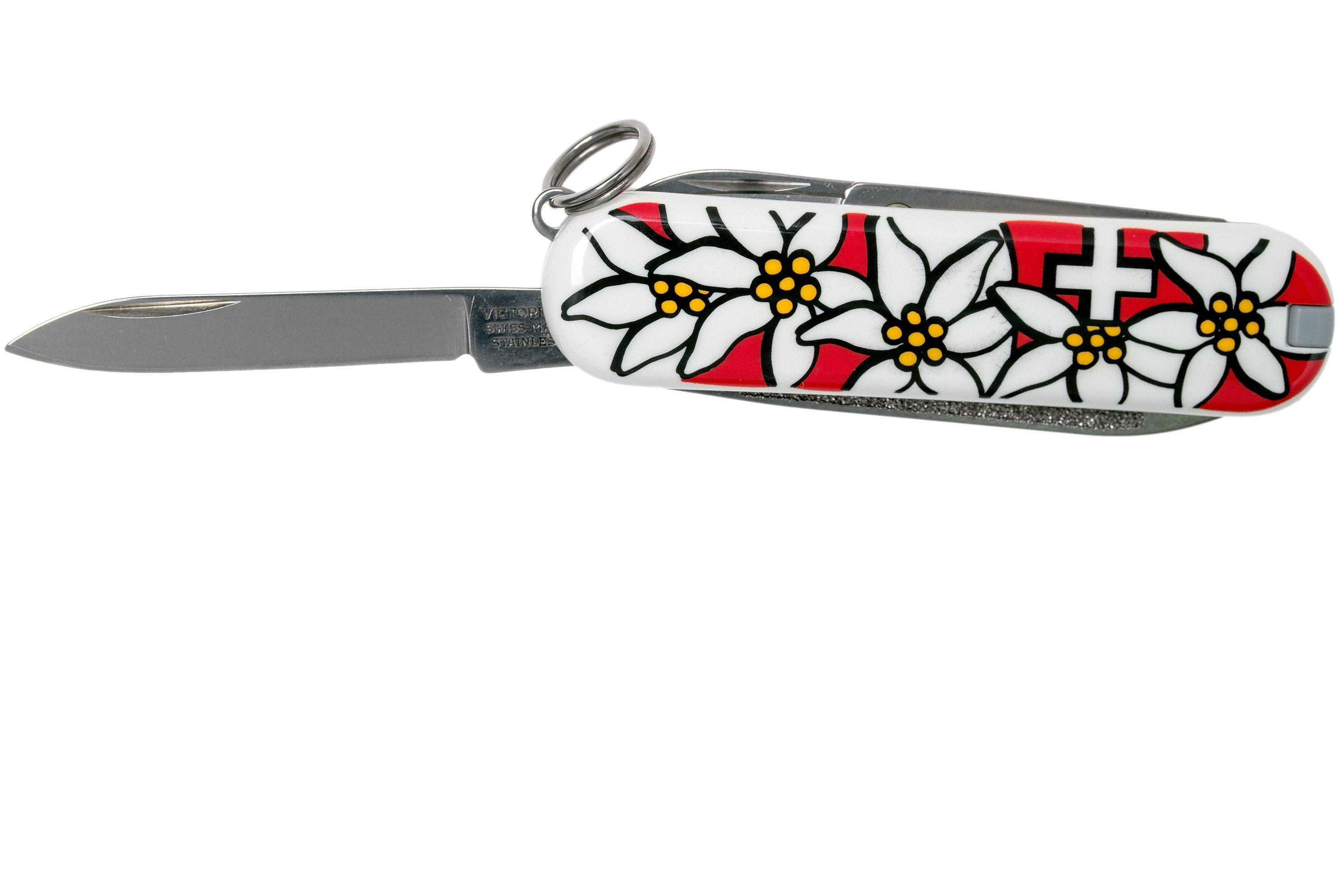 COUTEAU À HUITRES VICTORINOX - Edelweiss