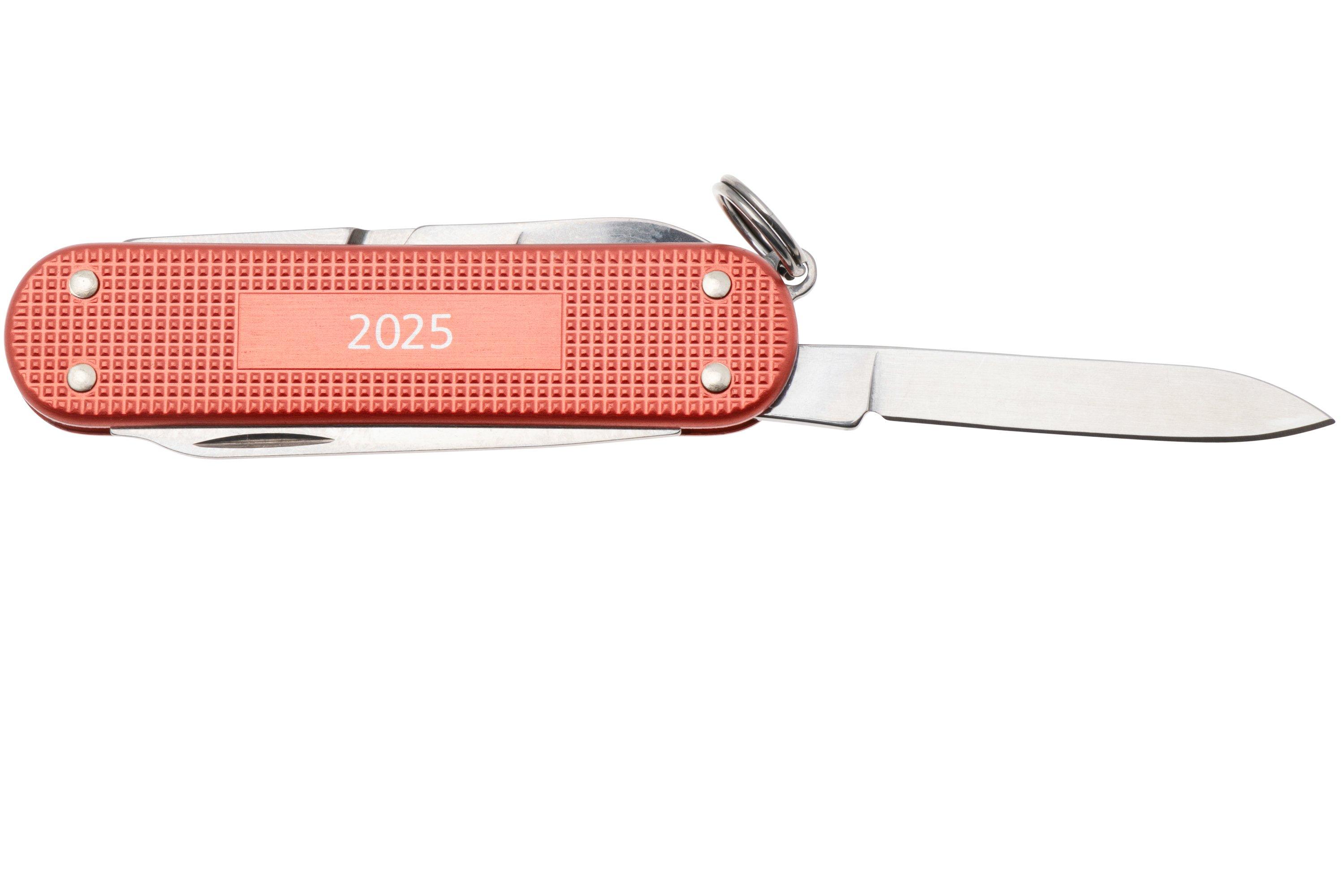 Victorinox, Coltellino Svizzero Ranger Grip 52 (Swiss Army Knife Con 5 Funzioni, Lama Bloccabile