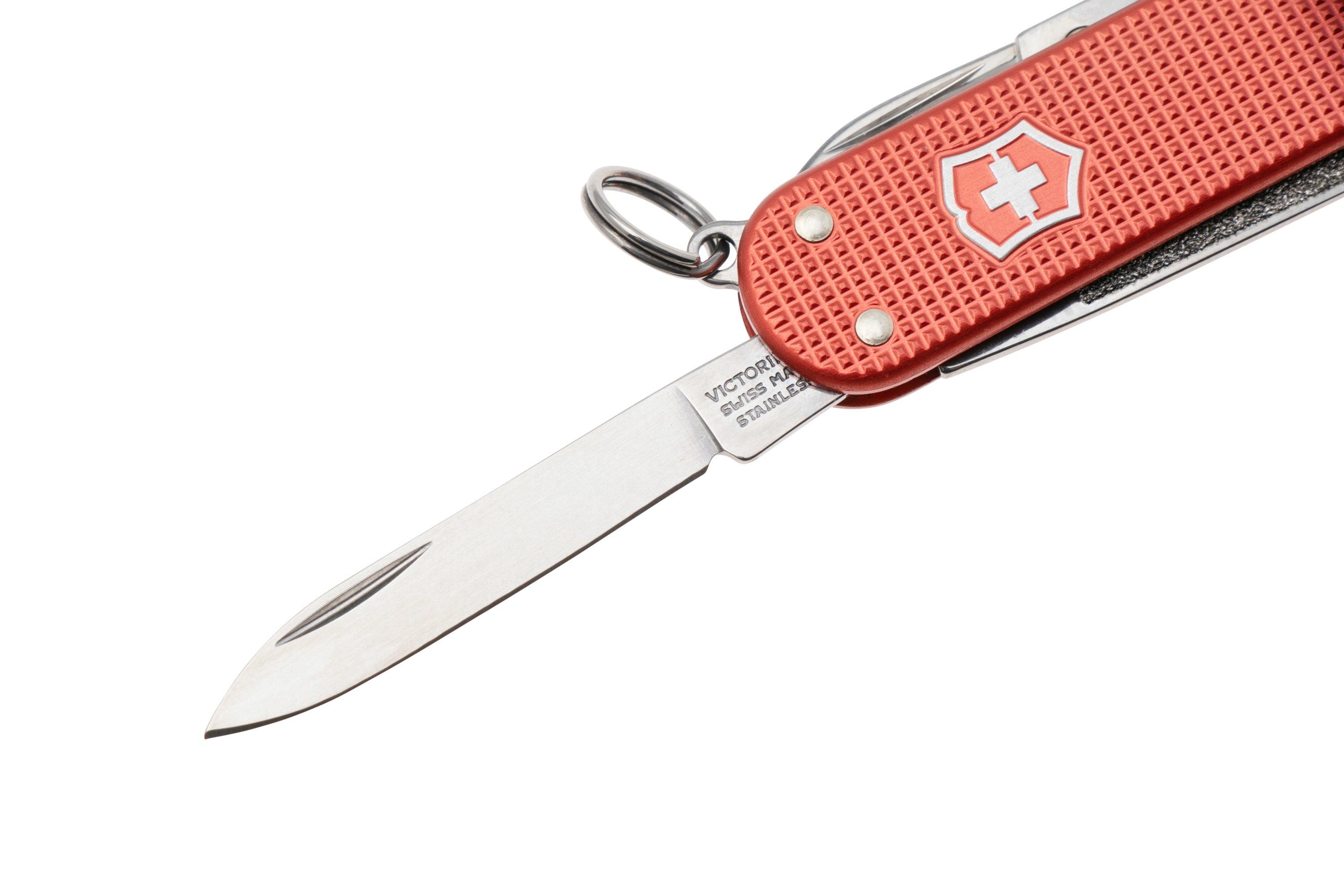 Victorinox Classic SD Alox Limited Edition 2025, 0.6221.L25 Stone