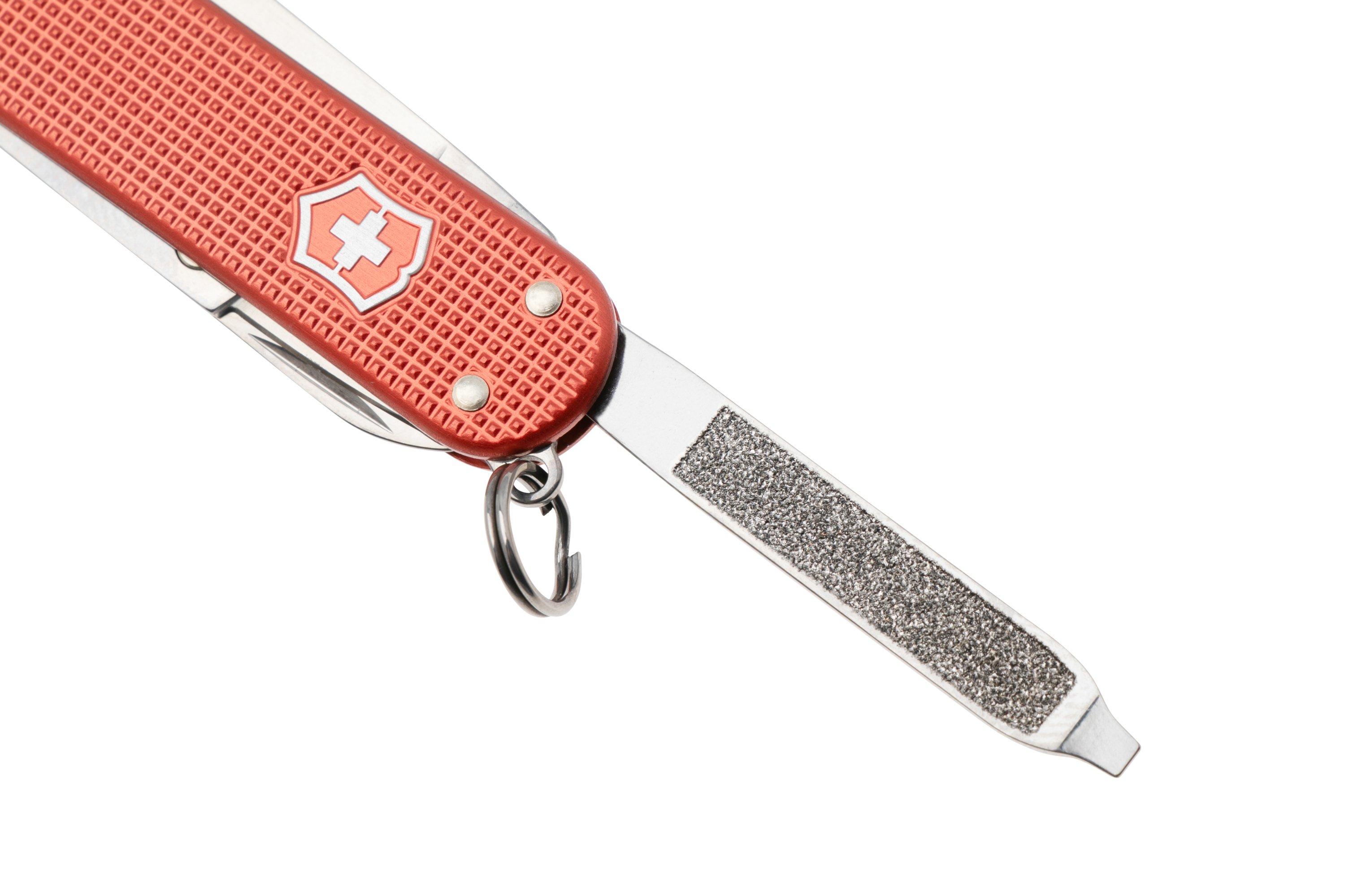 VT0-6221-L25_04_victorinox