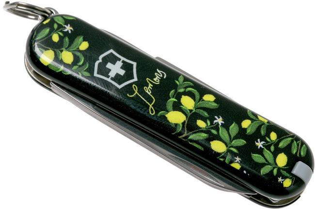 Victorinox Classic SD When Life Gives You Lemons Limited Edition 2019 0 6223 L1905 Swiss pocket knife Advantageously shopping at Knivesandtools