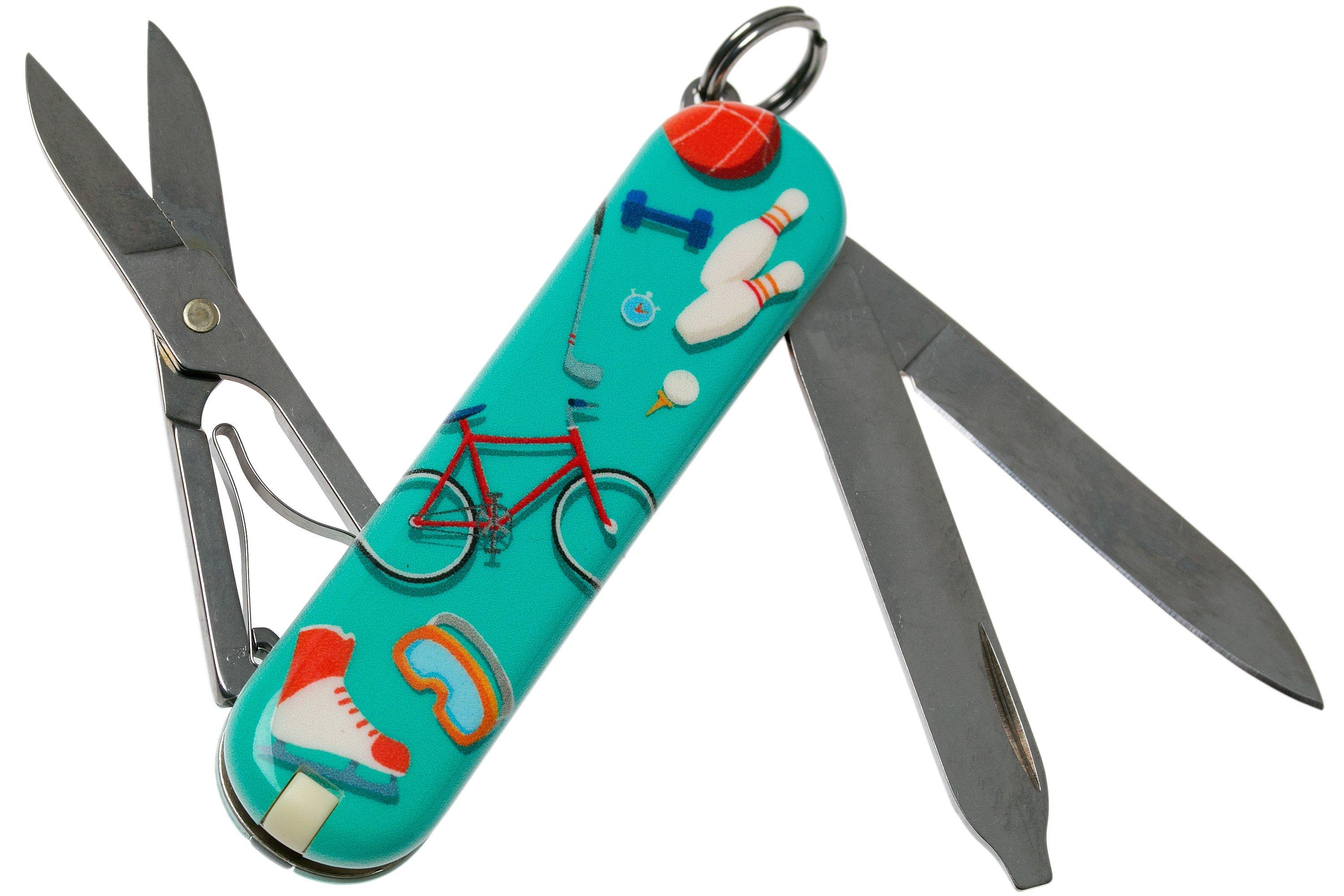 VT0-6223-L2010_02_victorinox