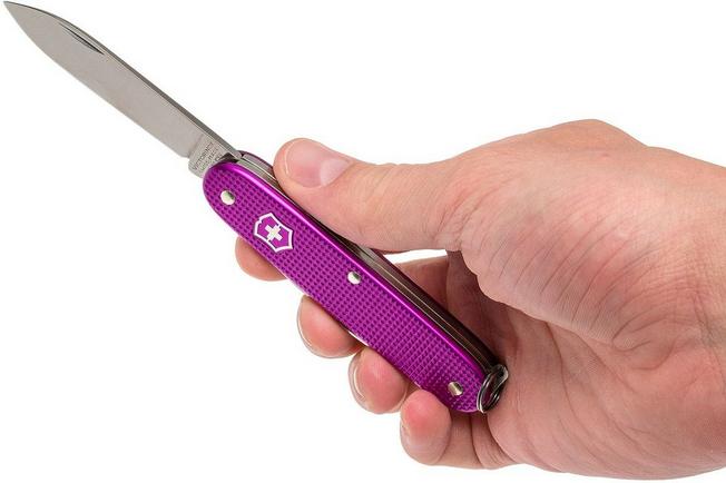 Victorinox 2016 online