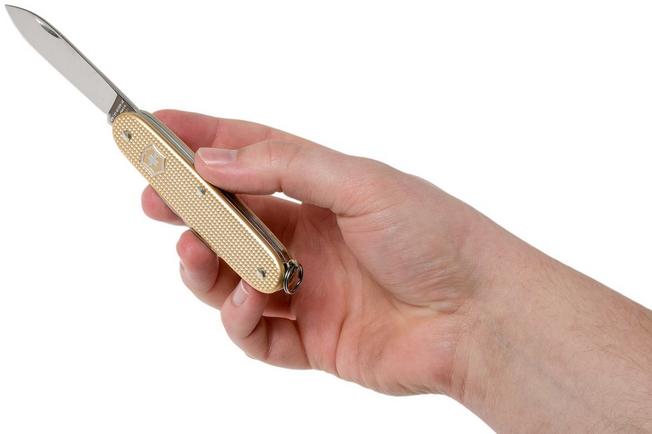 Victorinox Pioneer Champagne Gold Limited Edition 2019 0.8201.L19 Swiss pocket knife Advantageously shopping at Knivesandtools