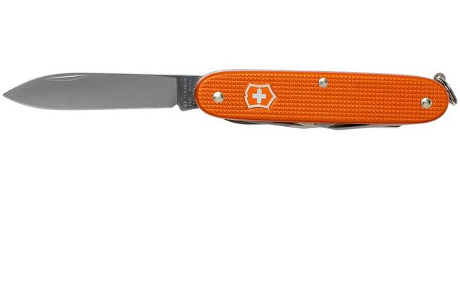 Victorinox cadet online 2021