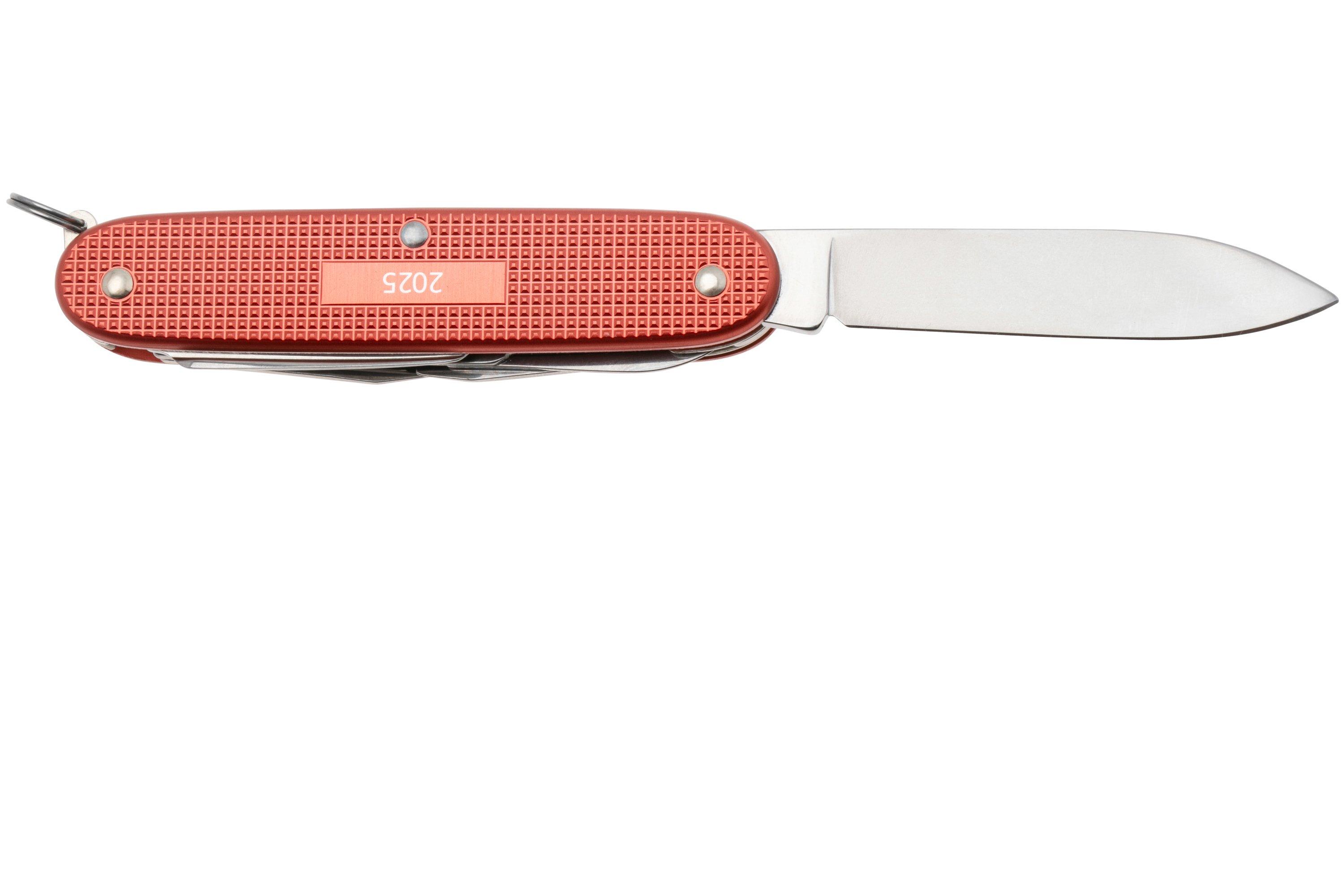 Victorinox Pioneer X Alox Limited Edition 2025 0.8231.L25, Stone