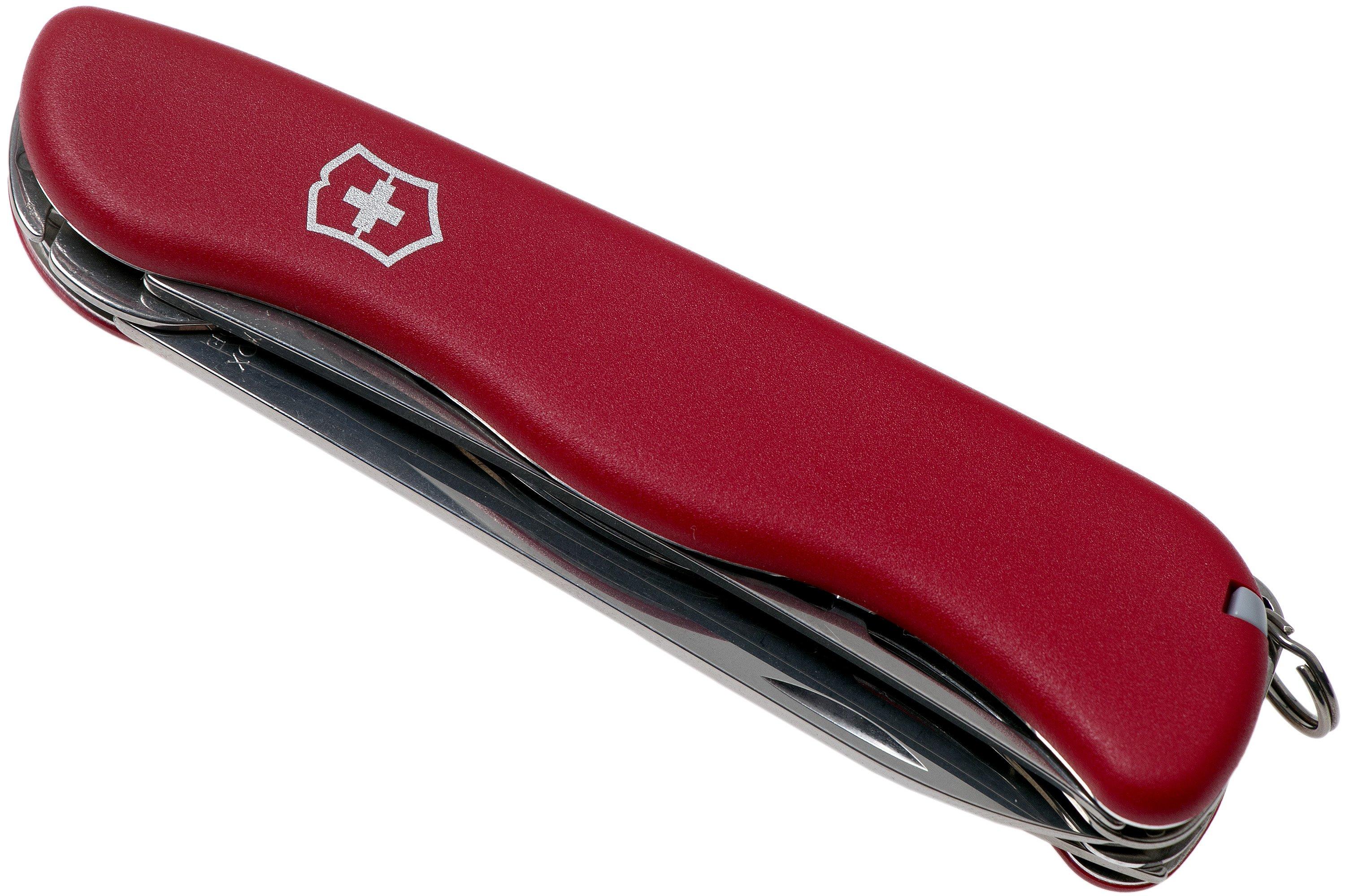 Swiss army hot sale cheese knife