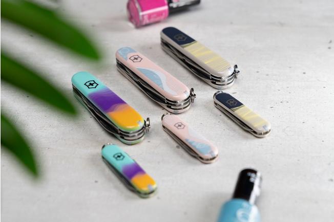 Victorinox companion sale