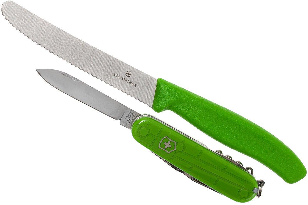 Victorinox Color Twins Limited Edition, Günstiger | shoppen bei 1.8901.L4 grün