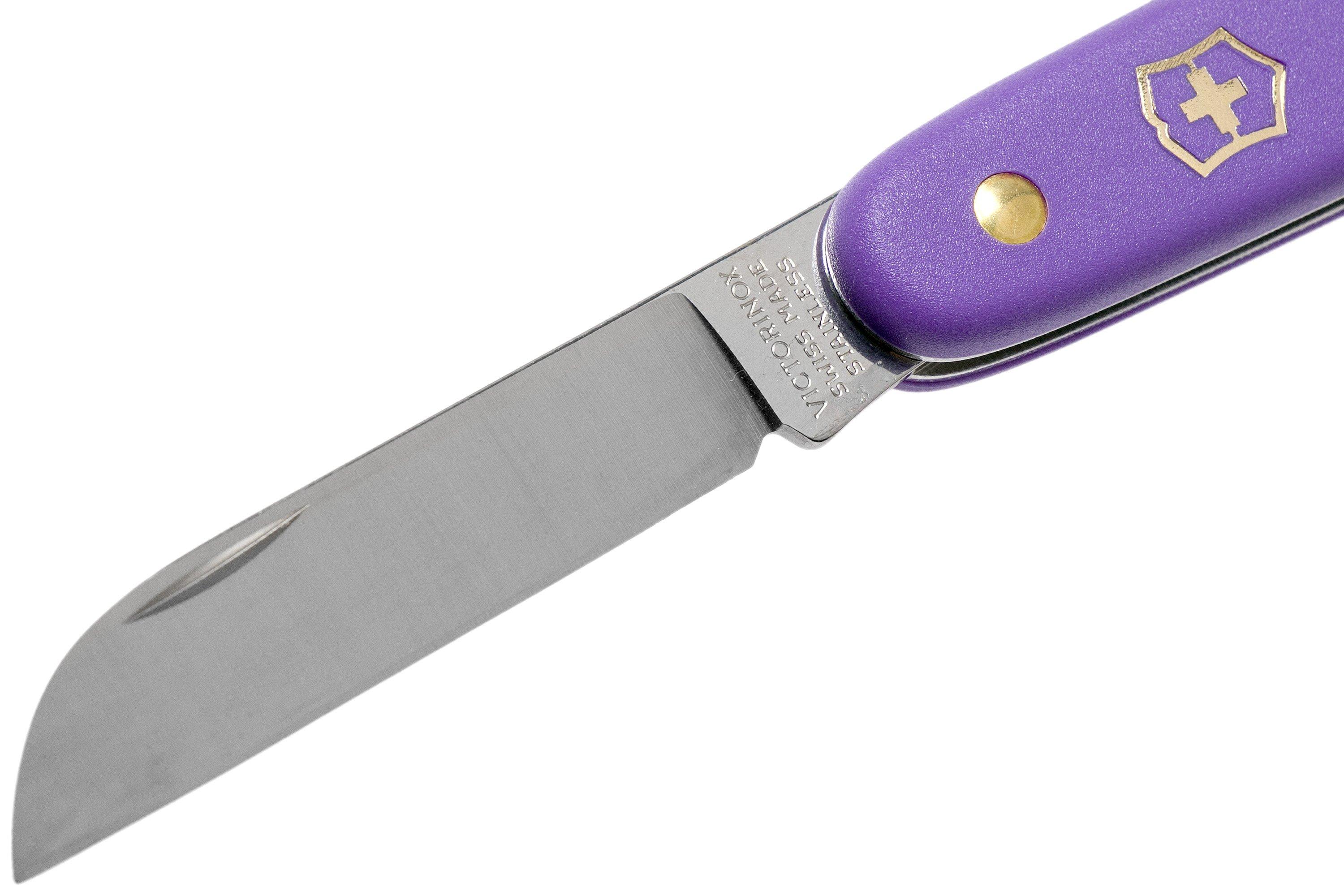 Purple victorinox discount