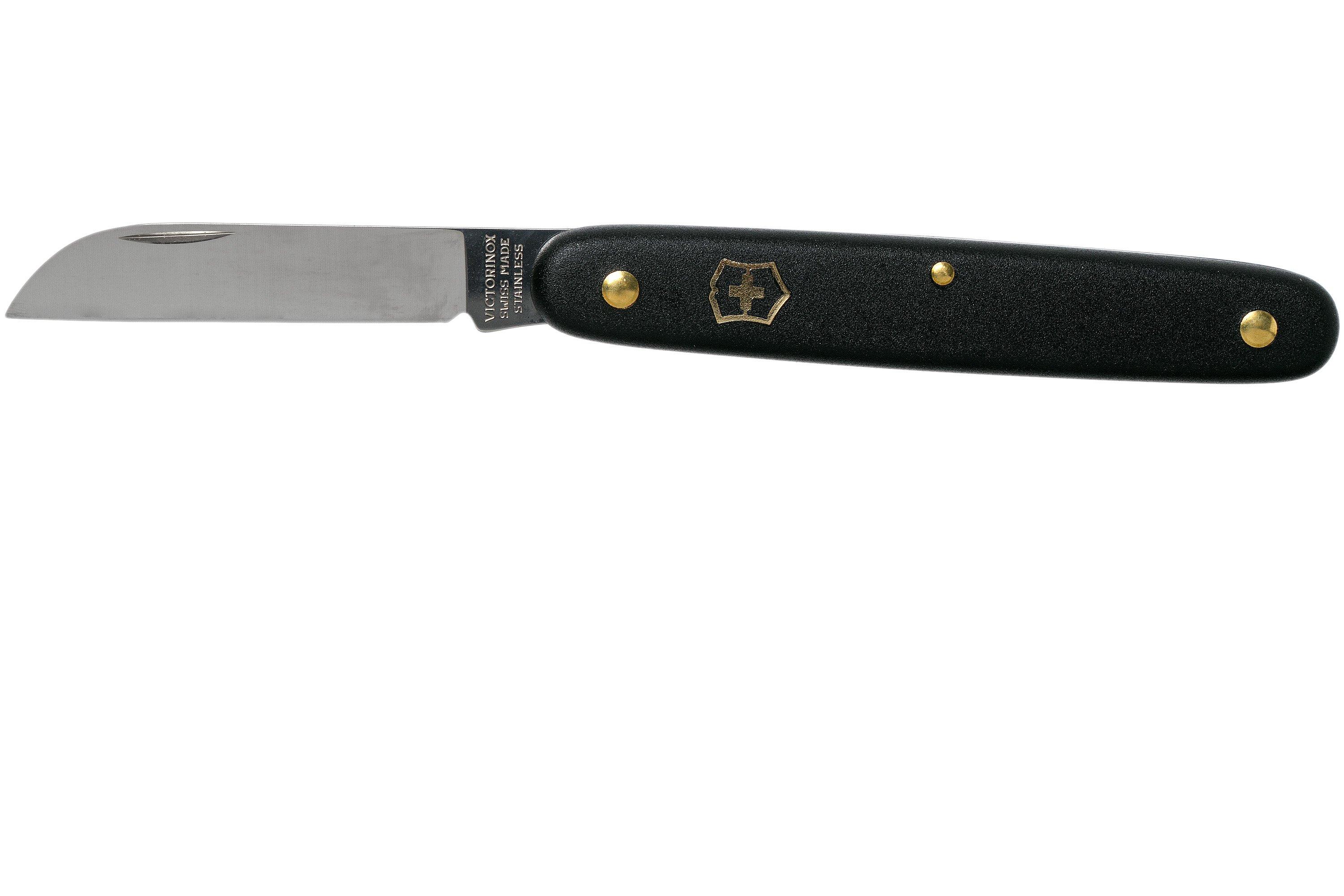 Victorinox Couteau fleuriste 3.9050.3B1 noir  Achetez à prix avantageux  chez knivesandtools.be