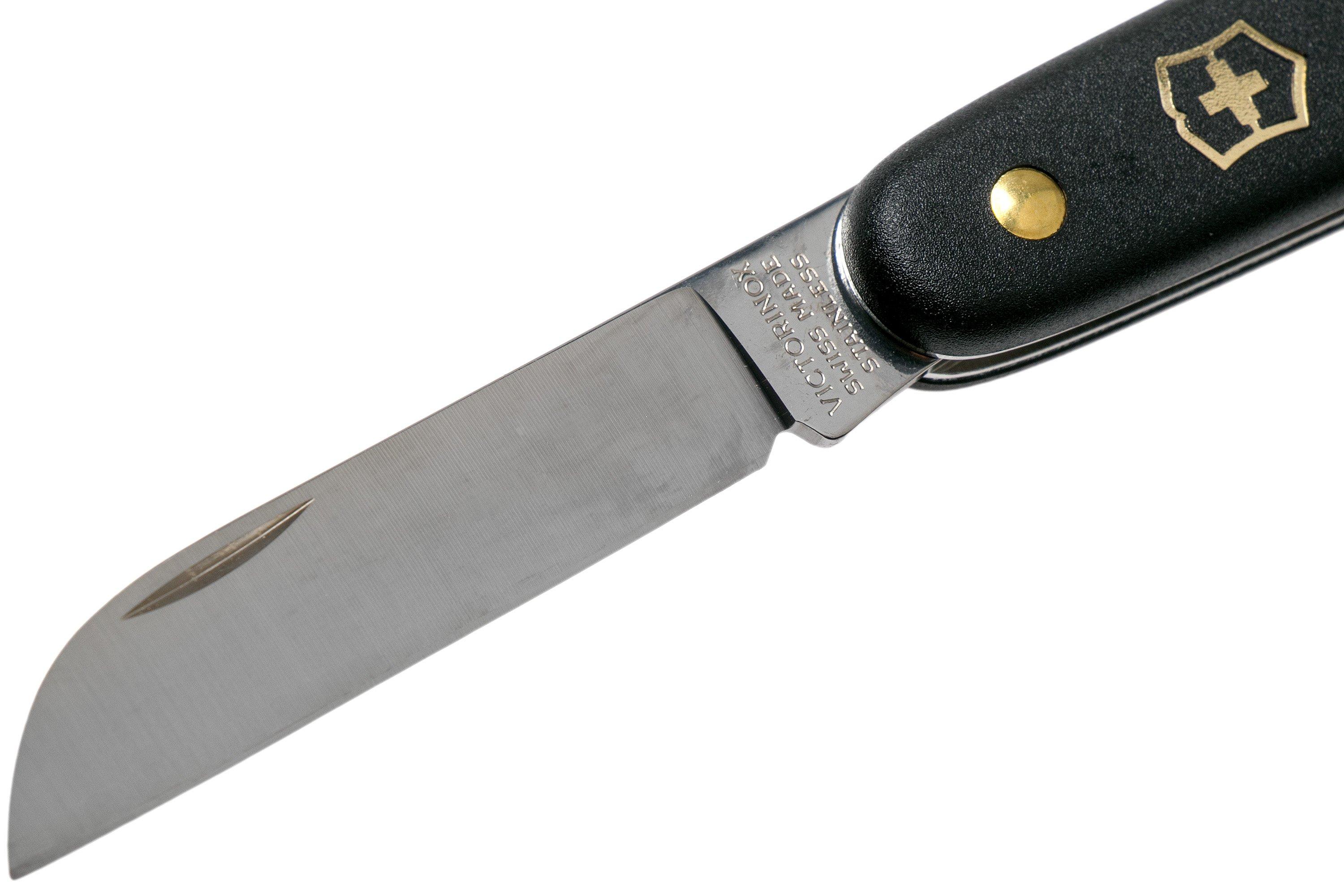 Victorinox Couteau fleuriste 3.9050.3B1 noir  Achetez à prix avantageux  chez knivesandtools.be