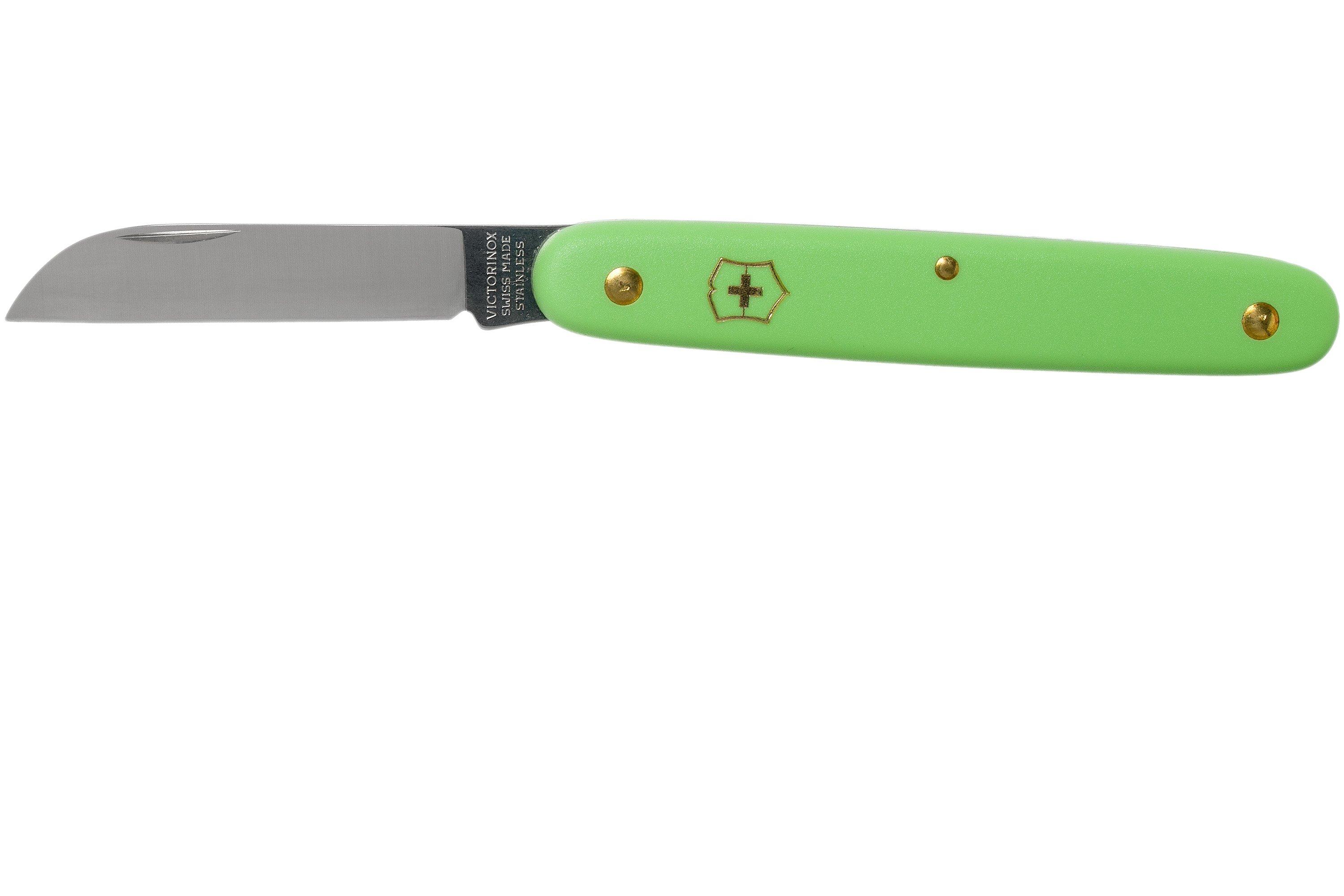 Victorinox  Victorinox Swiss Army Knives 3.9050.47 Floral Knife - Green  Pastel